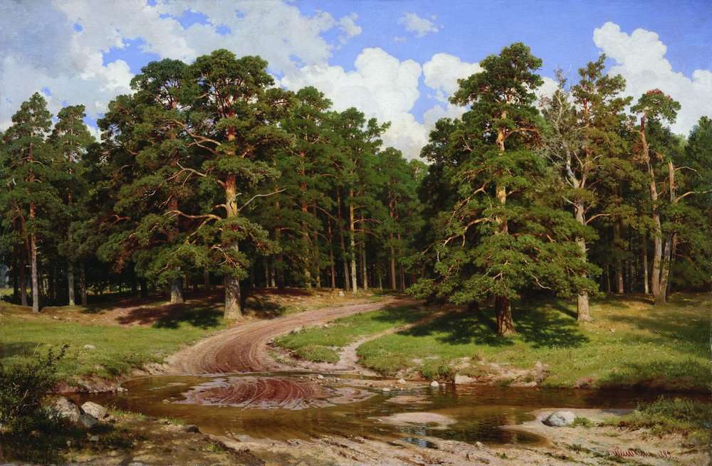Pine Forest by Ivan Shishkin, 1895