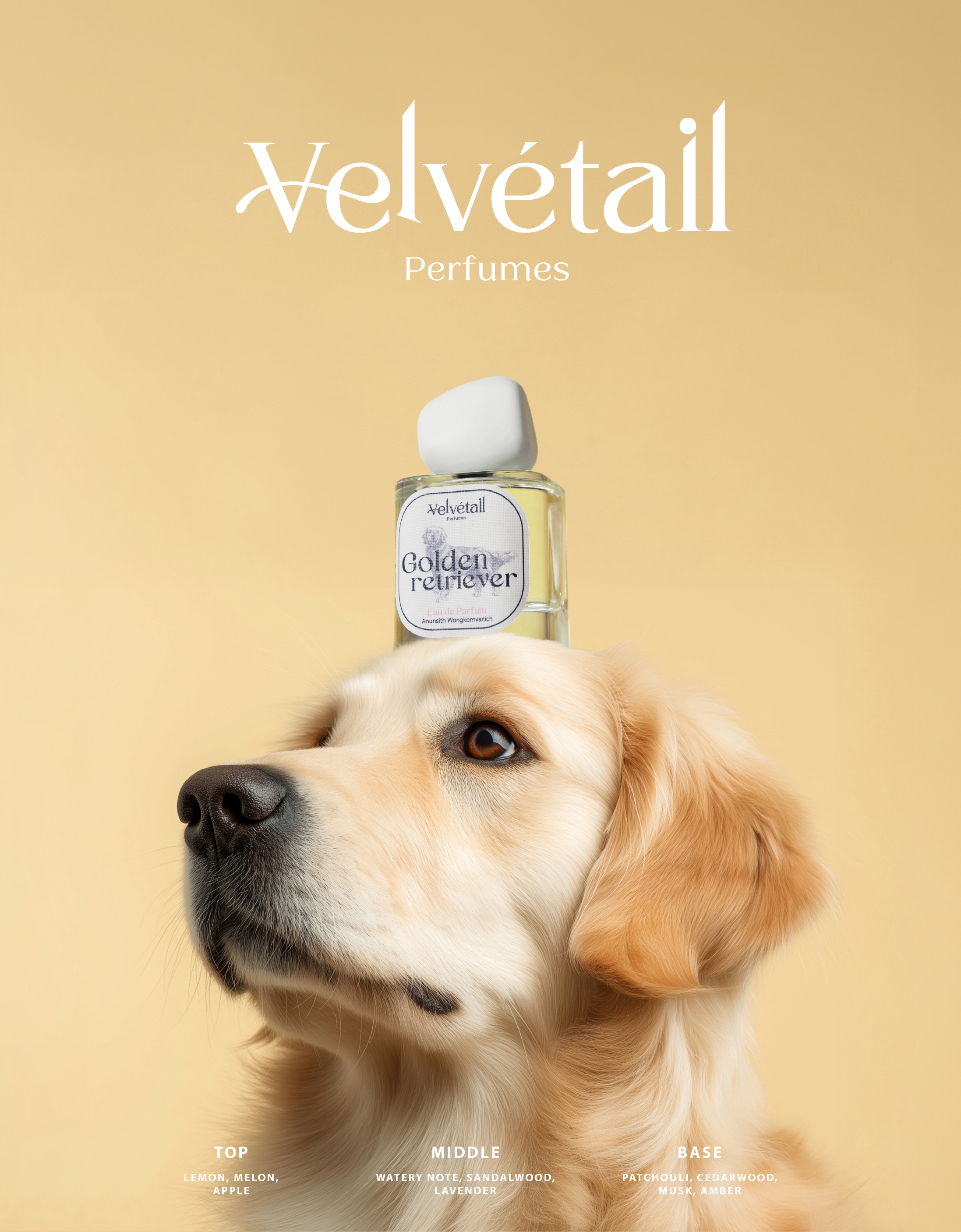 golde retriever velvetail