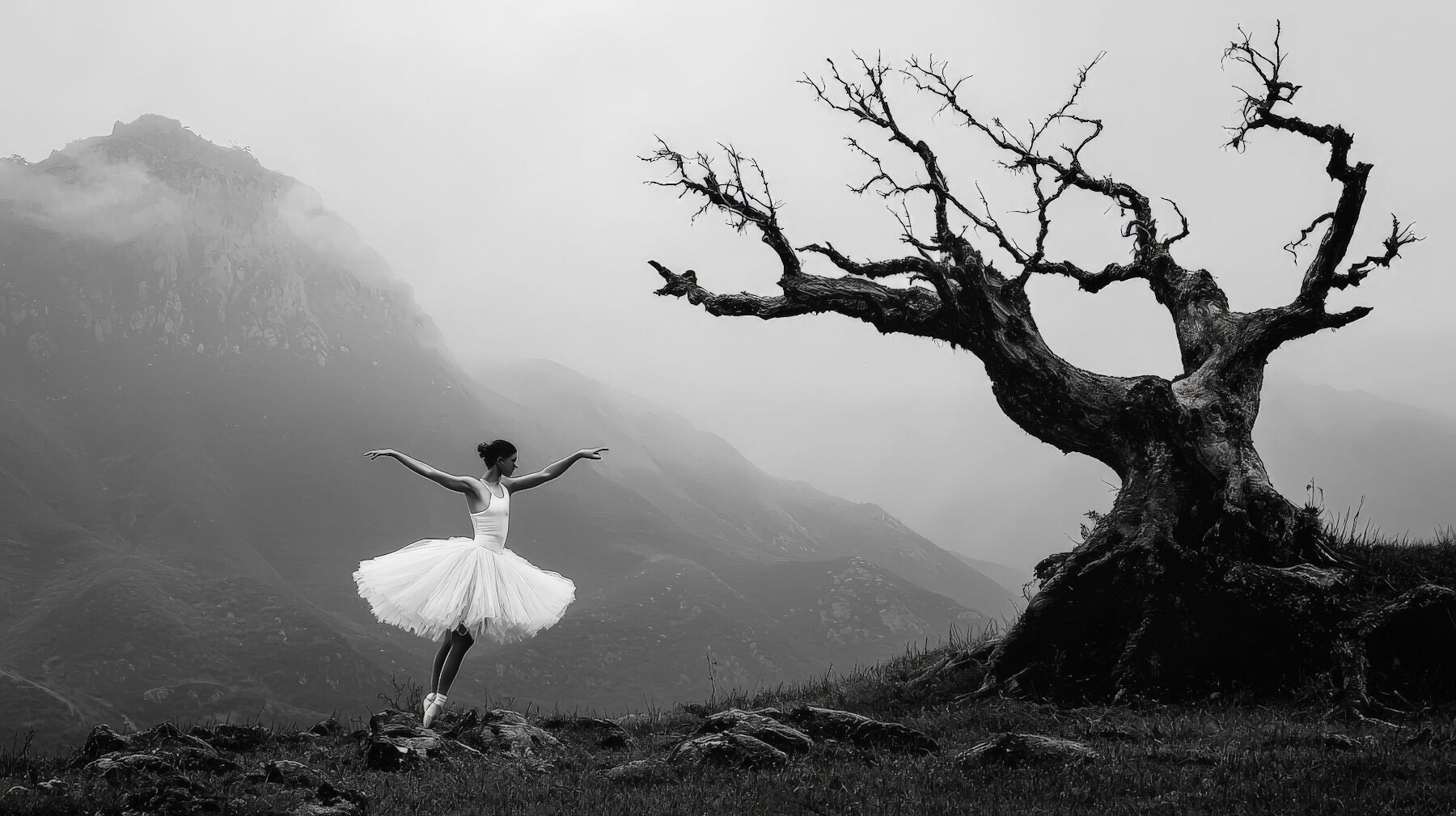 A dancer dancing in a tutu in front of a gnarled old tree