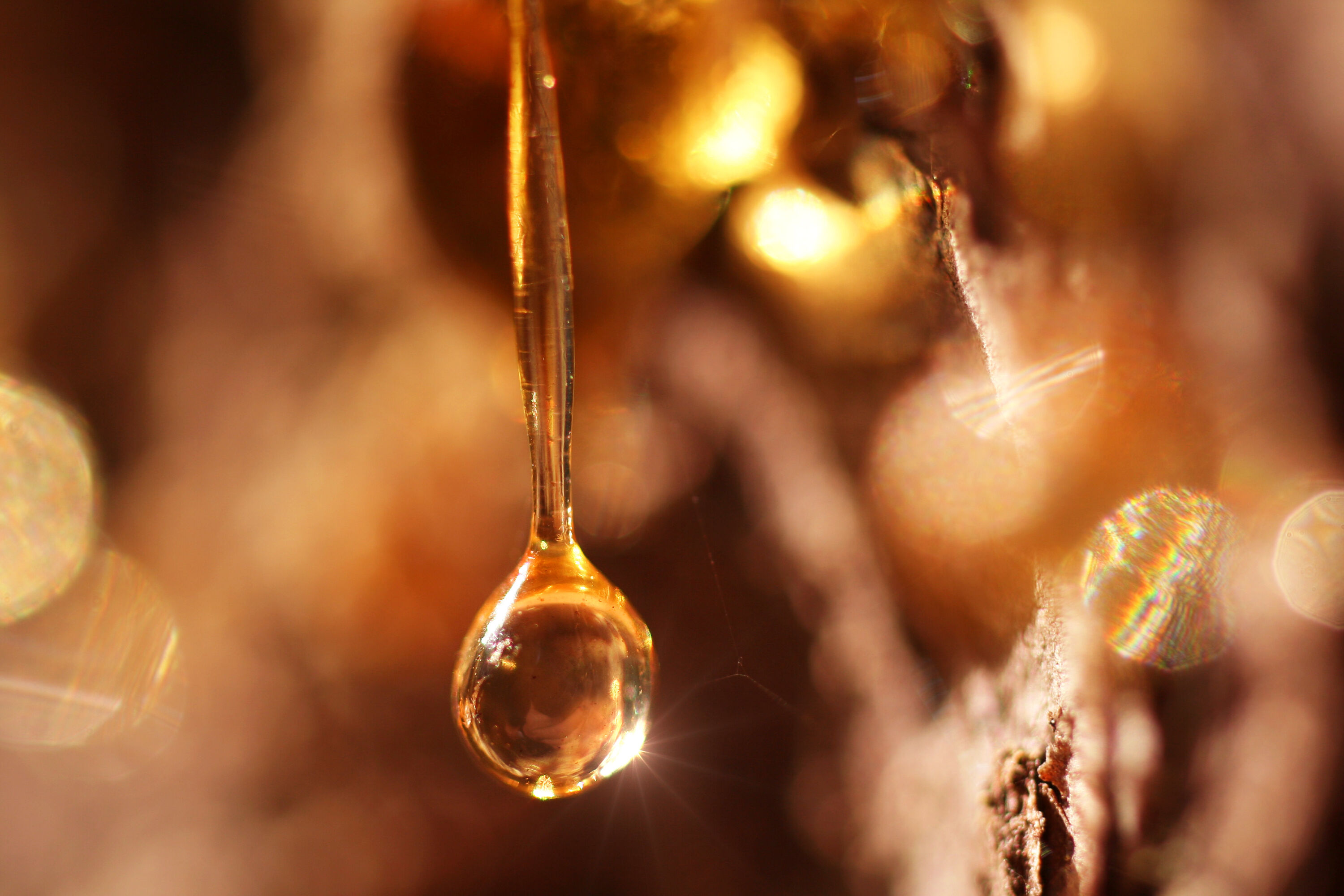 Even More Luxurious! Ambre Supermassive by Les Eaux Primordiales