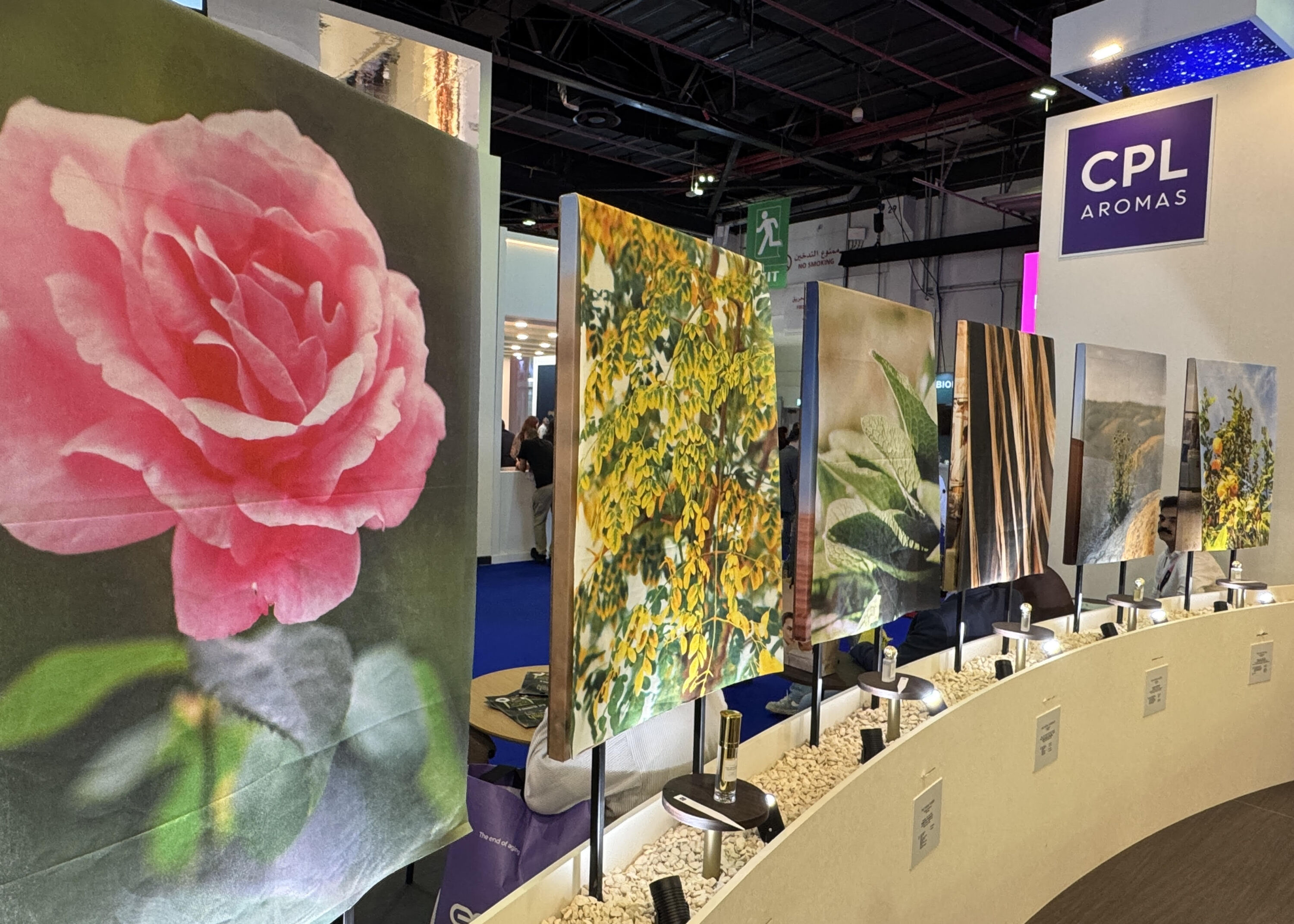 bwme 2025, aromata CPL