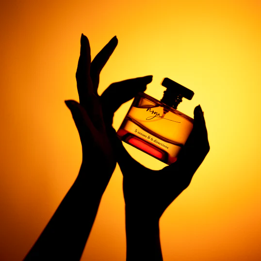 5 senses 6 directions house of noya