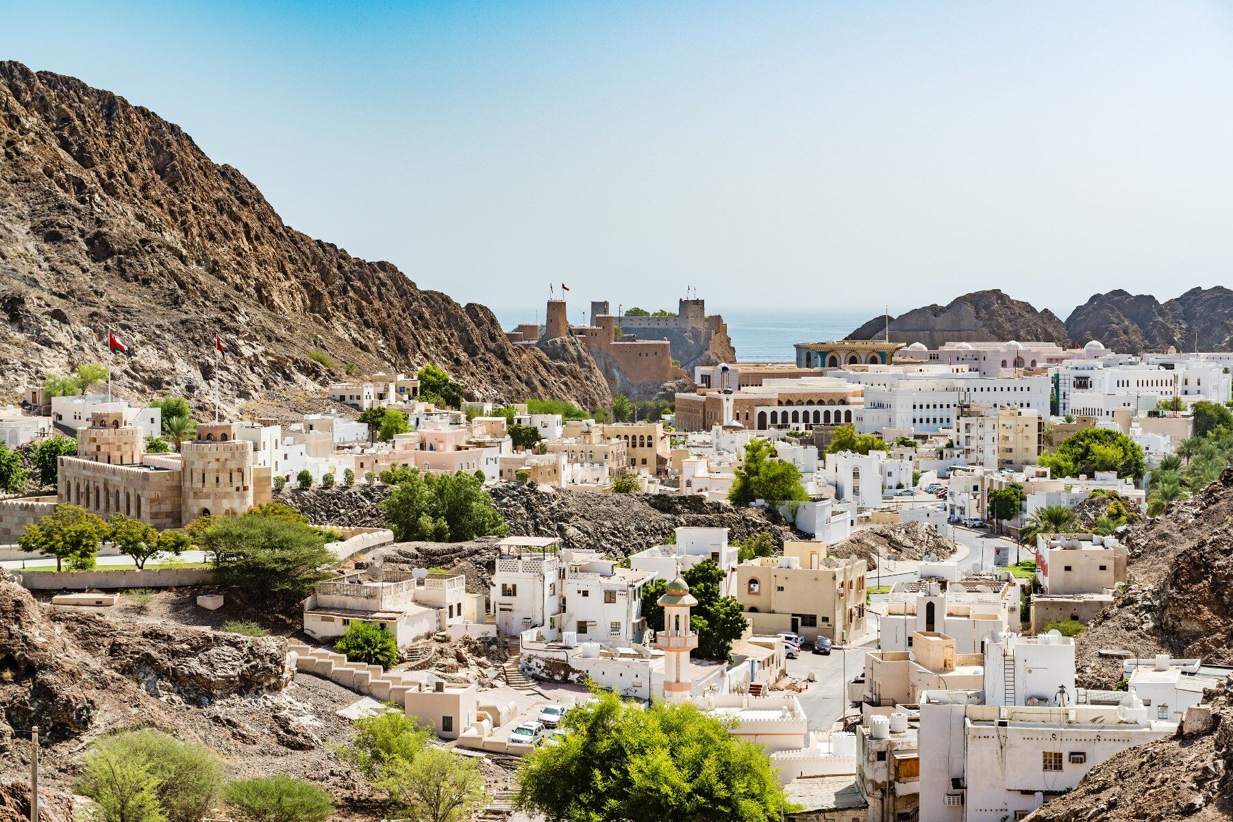 Muscat