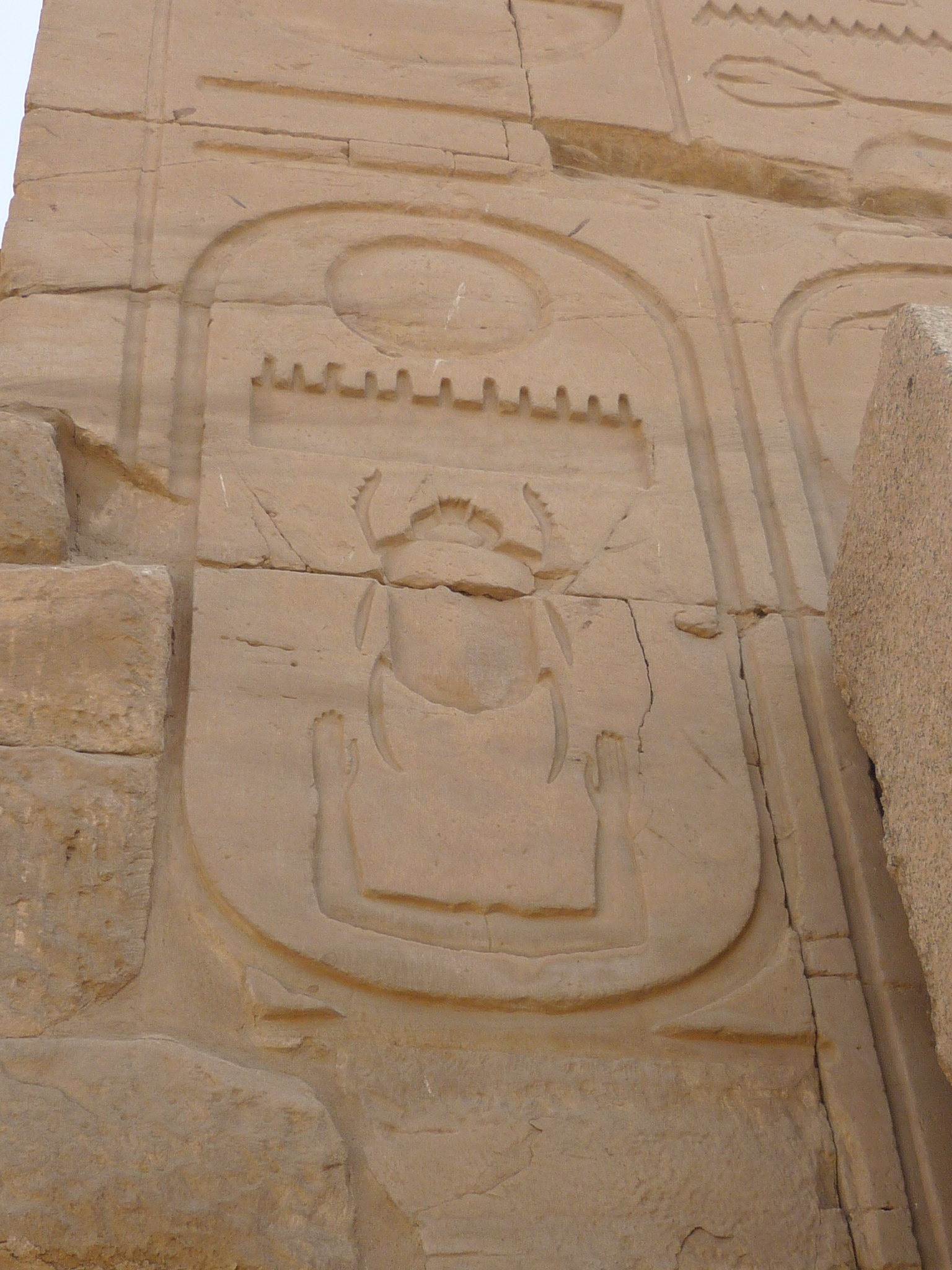 Wall relief with the cartouche of Thutmosis III , Karnak temple of Amun-Ra, Egypt, Википедия, CC BY-SA 3.0