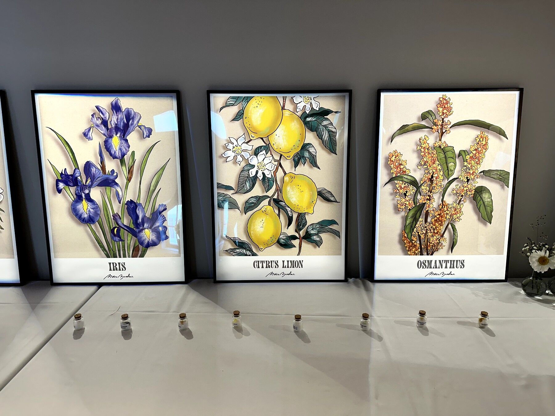 The botanical illustration exhibition with corresponding materials to smell