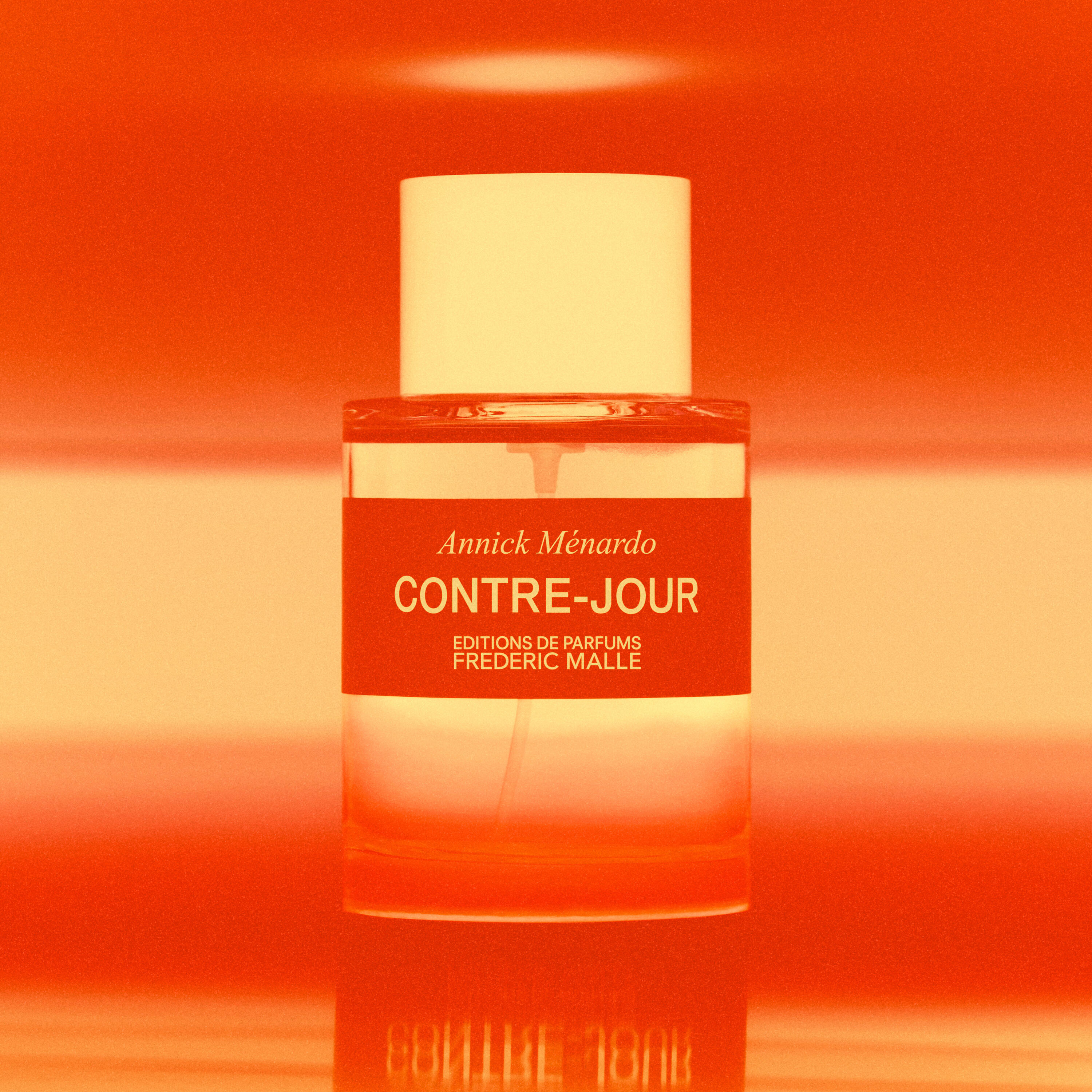With Contre-Jour, Immortelle Reveals Itself in Chiaroscuro for Editions ...