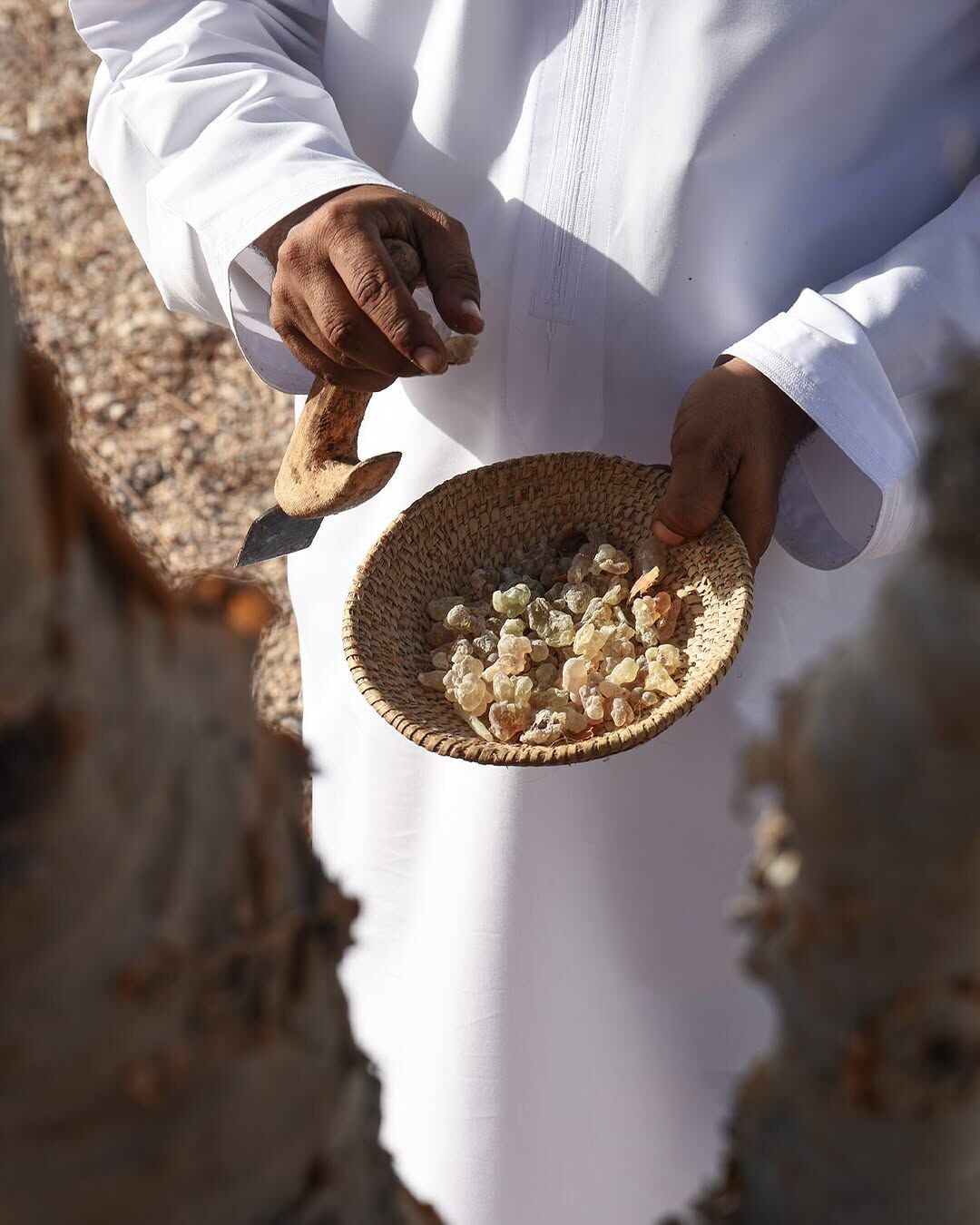 Purpose 50 by Amouage: In Search of the Perfect Incense