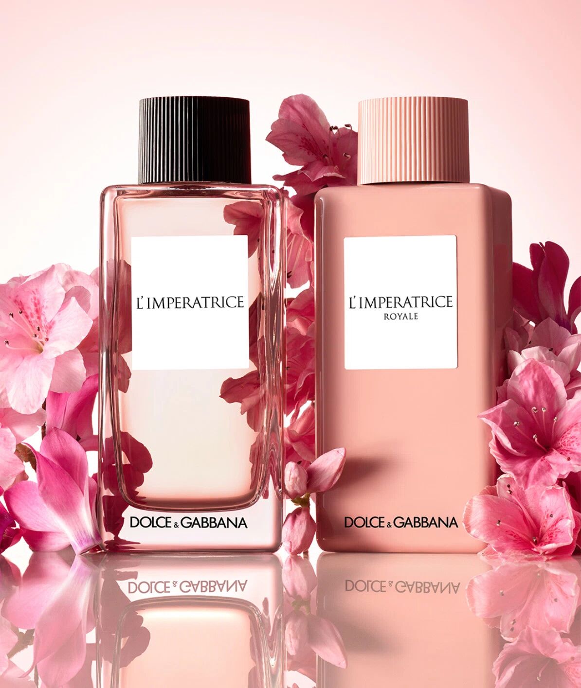 Dolce&Gabbana L'Imperatrice Royale