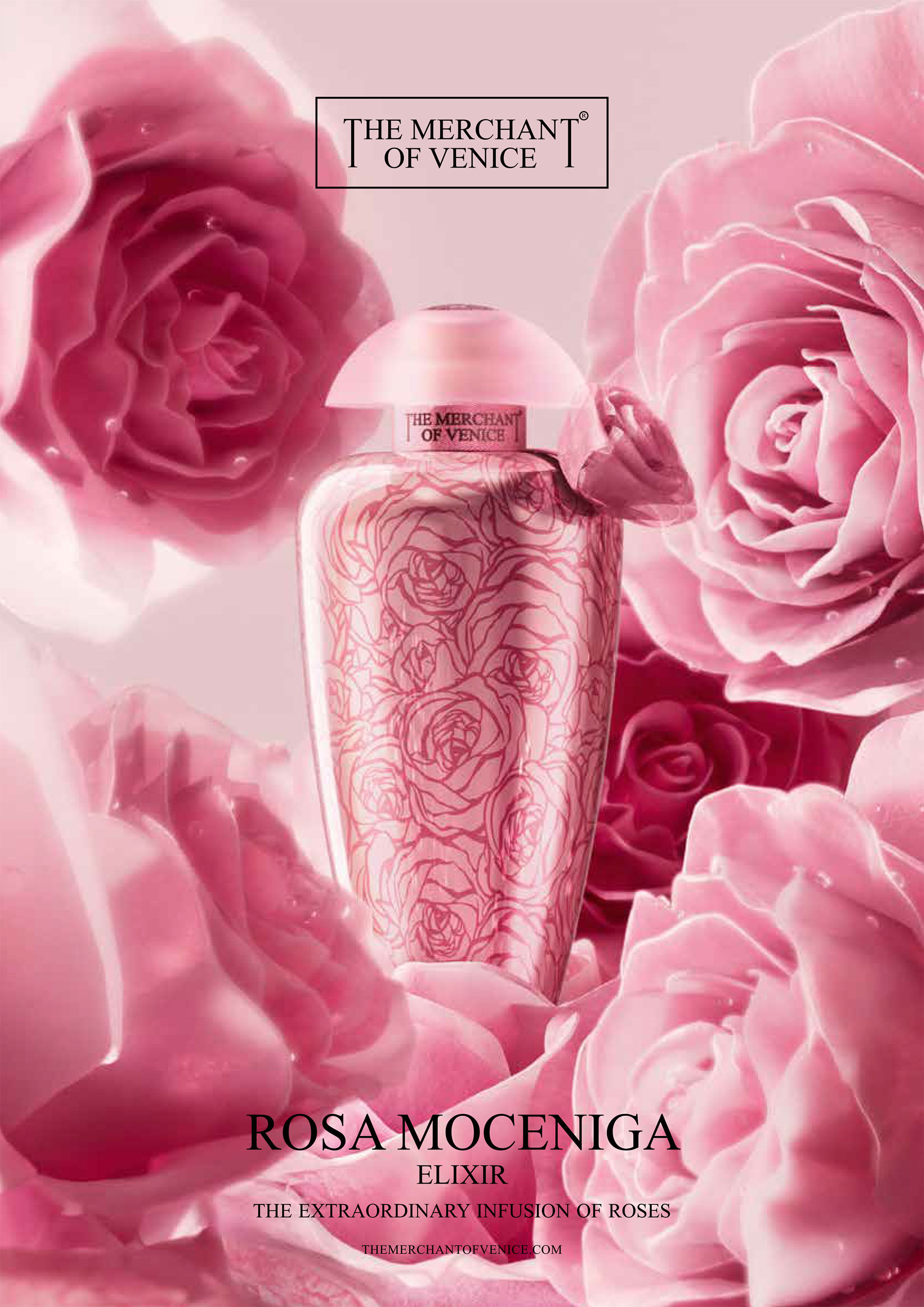 the merchant of venice rosa moceniga elixir