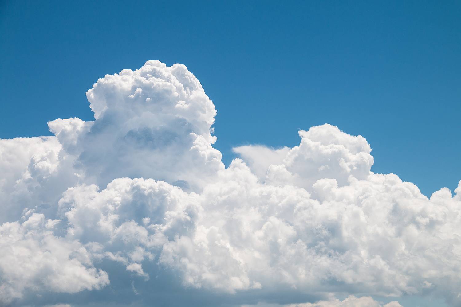 Miss_U Laboratorio Olfattivo: A Cloud Choosing Its Own Shade ...