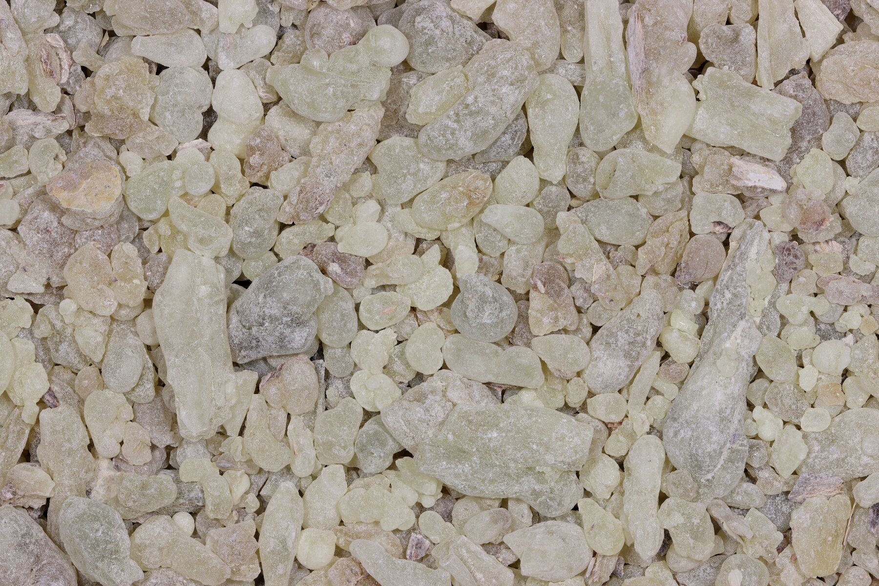 Grains of frankincense