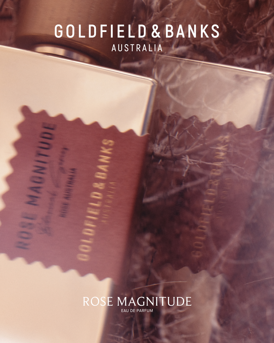 Rose Magnitude Goldfield & Banks