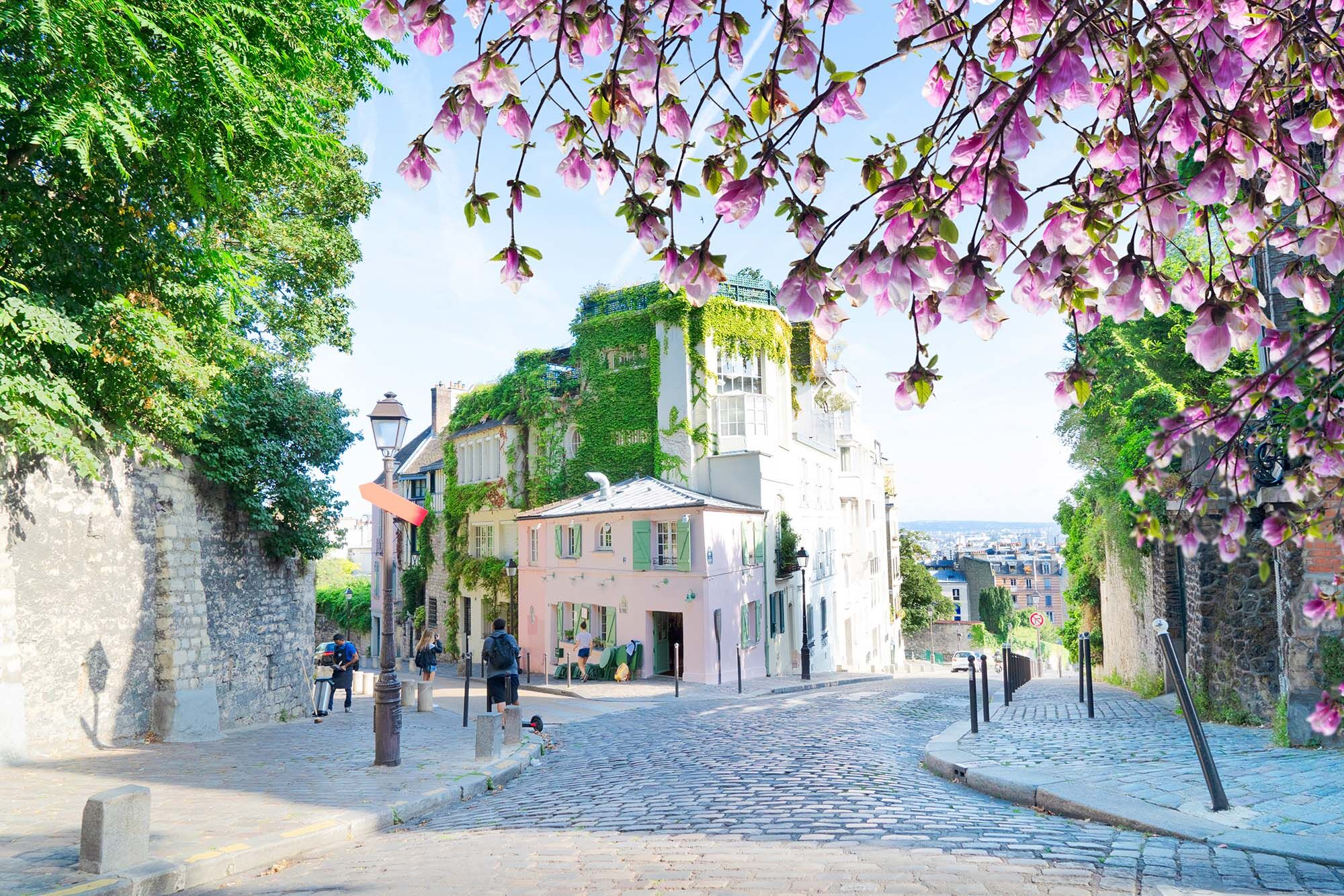 Montmartre sidewalks with magnolia blossoms.