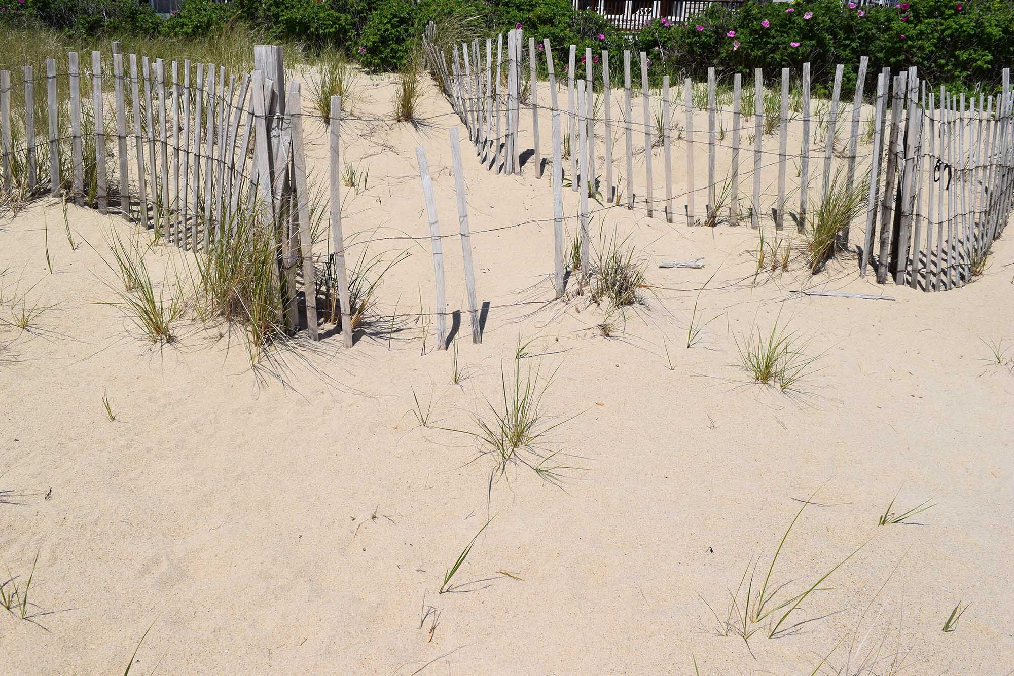 Sand and fences at a beachside in New England.