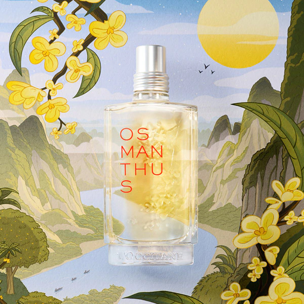 Osmanthus by L'Occitane