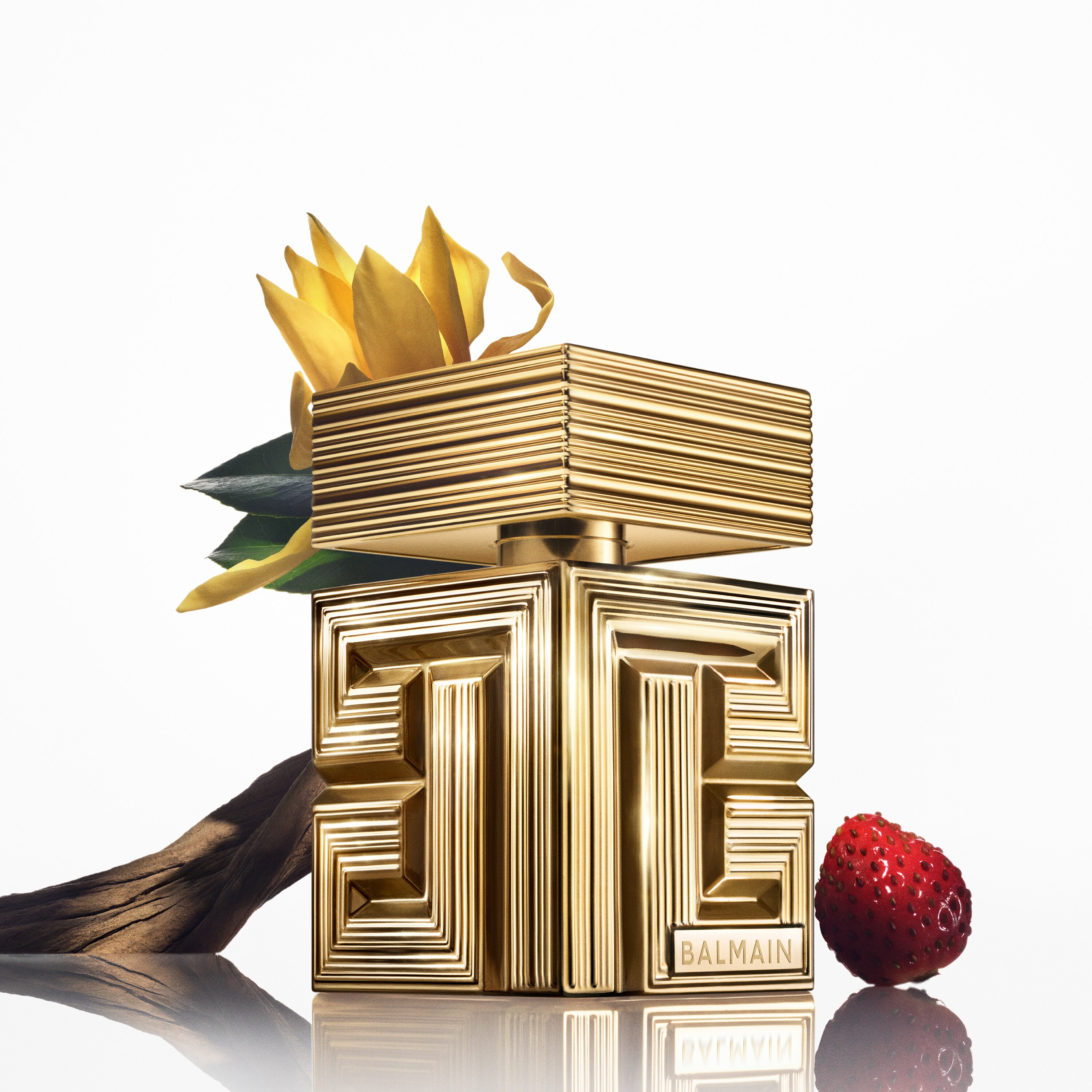 Balmain Destin de Balmain Parfum ~ 新作フレグランス