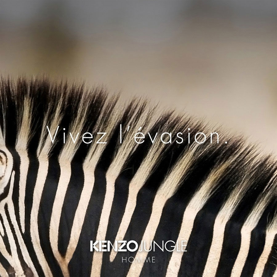 kenzo jungle homme