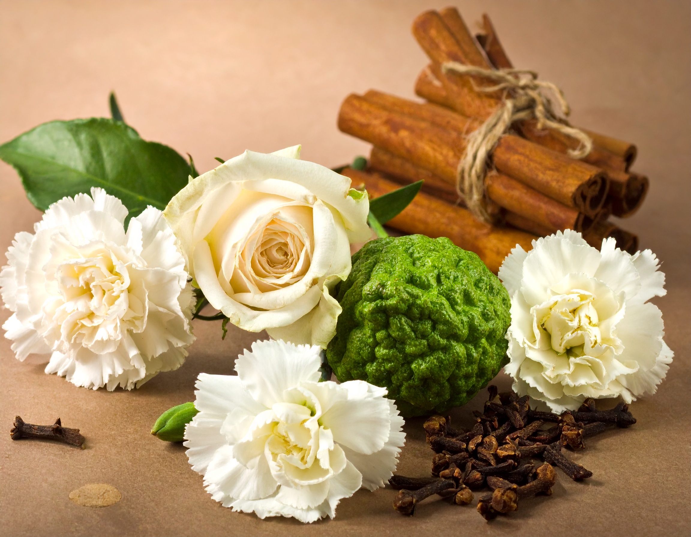 مواد معطر شامل مرکبات گل‌ها دارچین و میخک در فرمول عطر