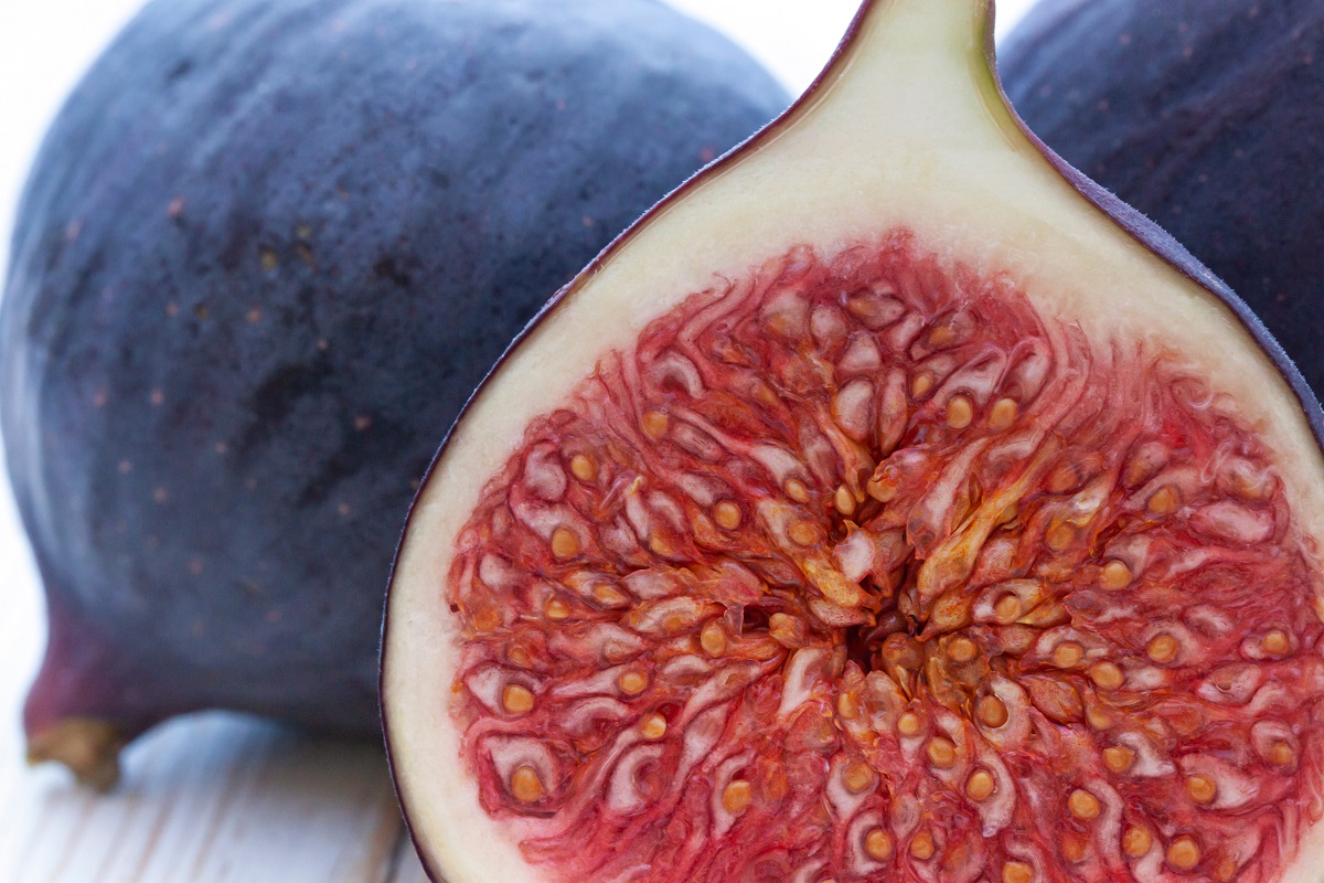 Fig Leaves and Forbidden Fruits ~ Columns