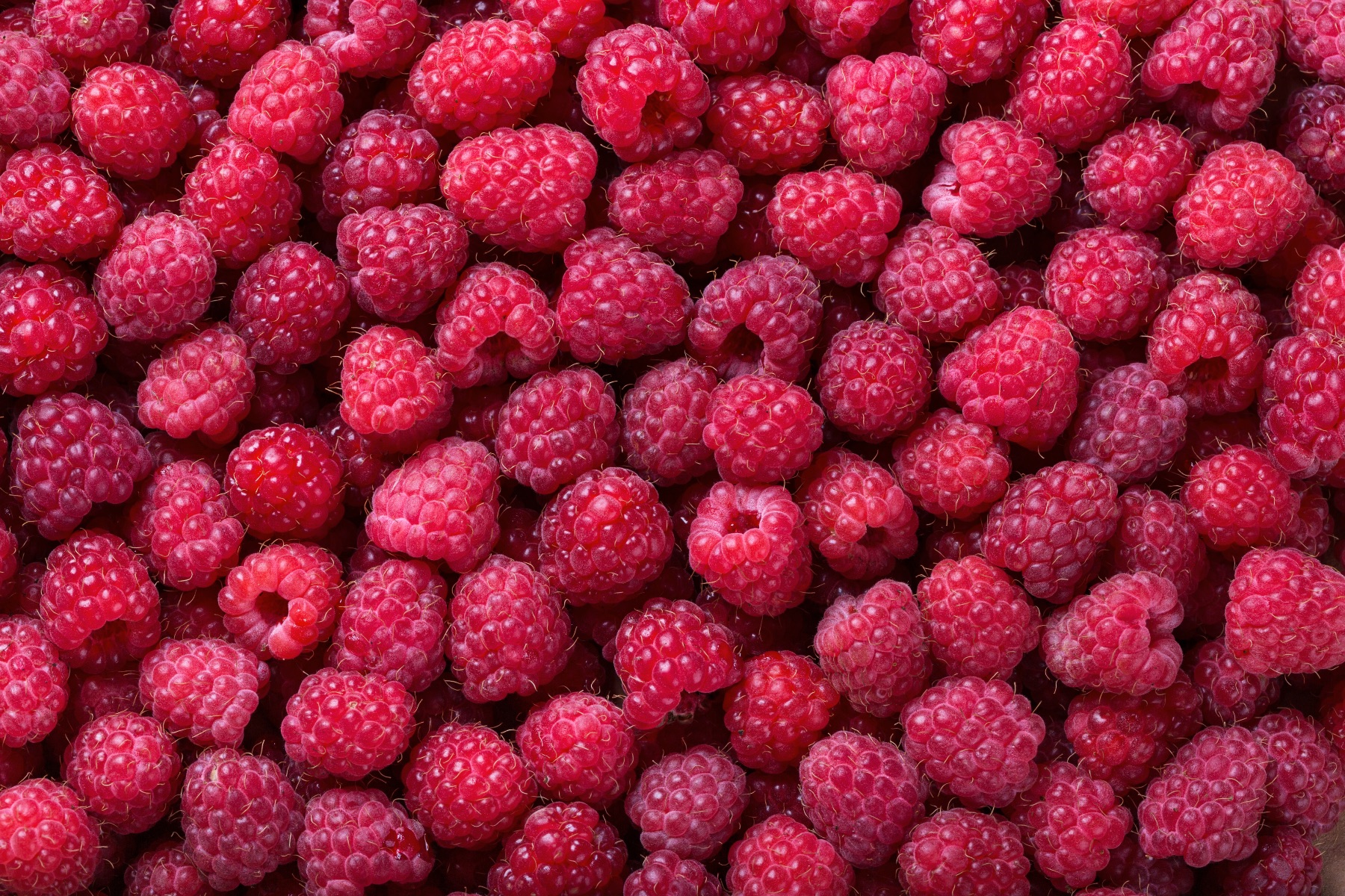 Raspberries