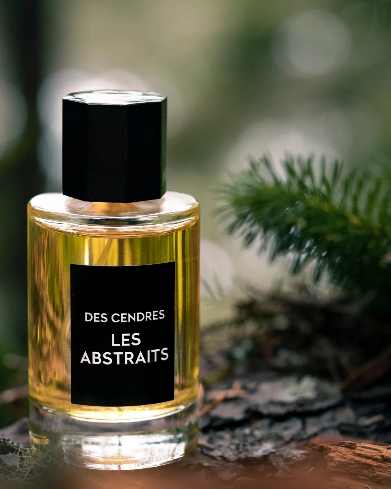 Des Cendres Les Abstraits