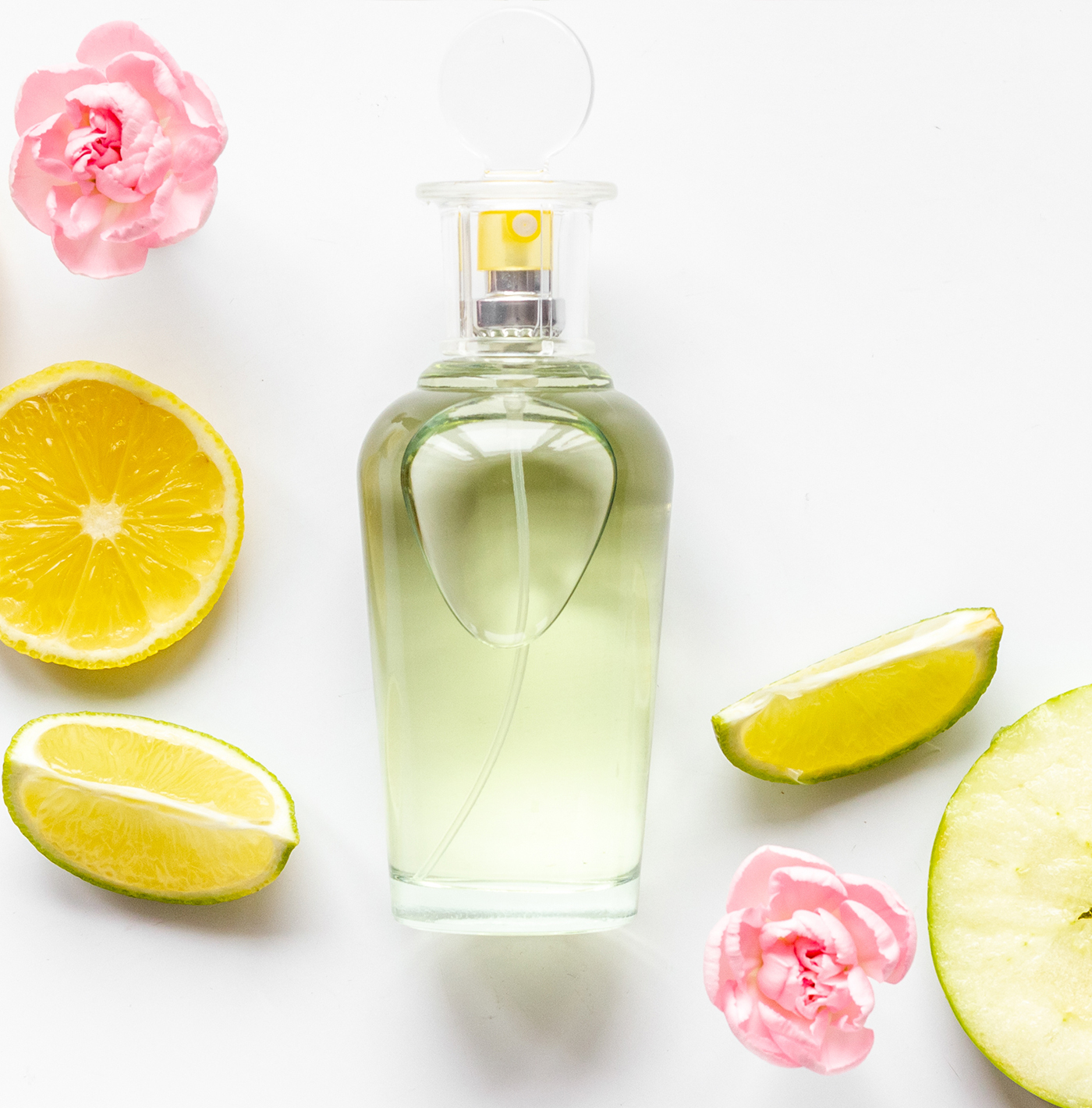 Perfume Content in Short Form: Getting to Know Fragrance TikTok ...