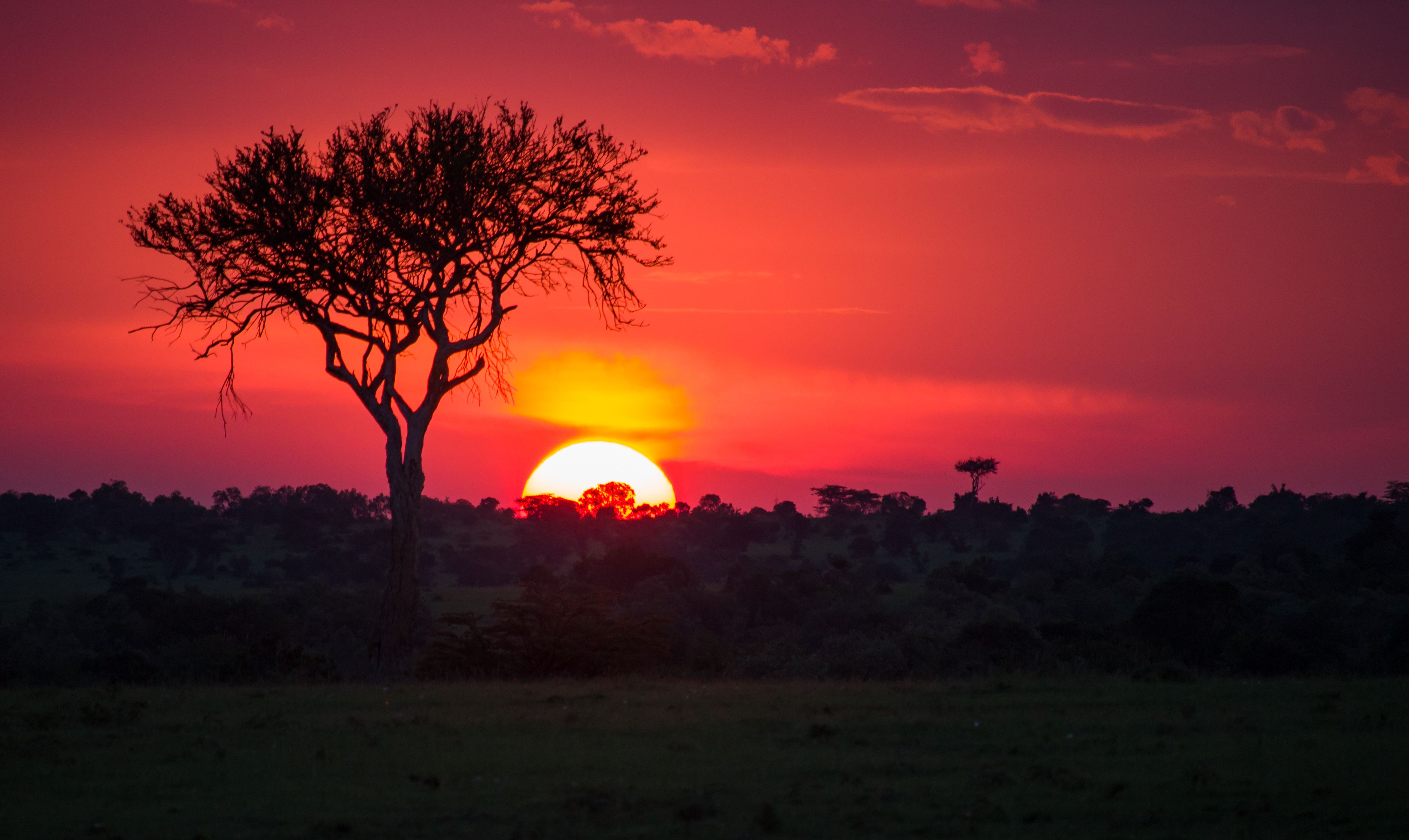 african sunset in the savannah