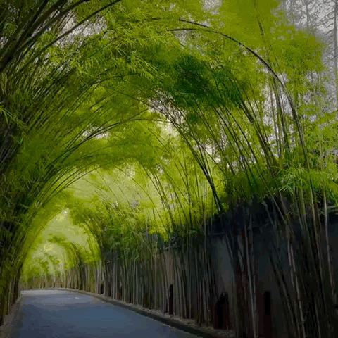 Вход в отель W Bali