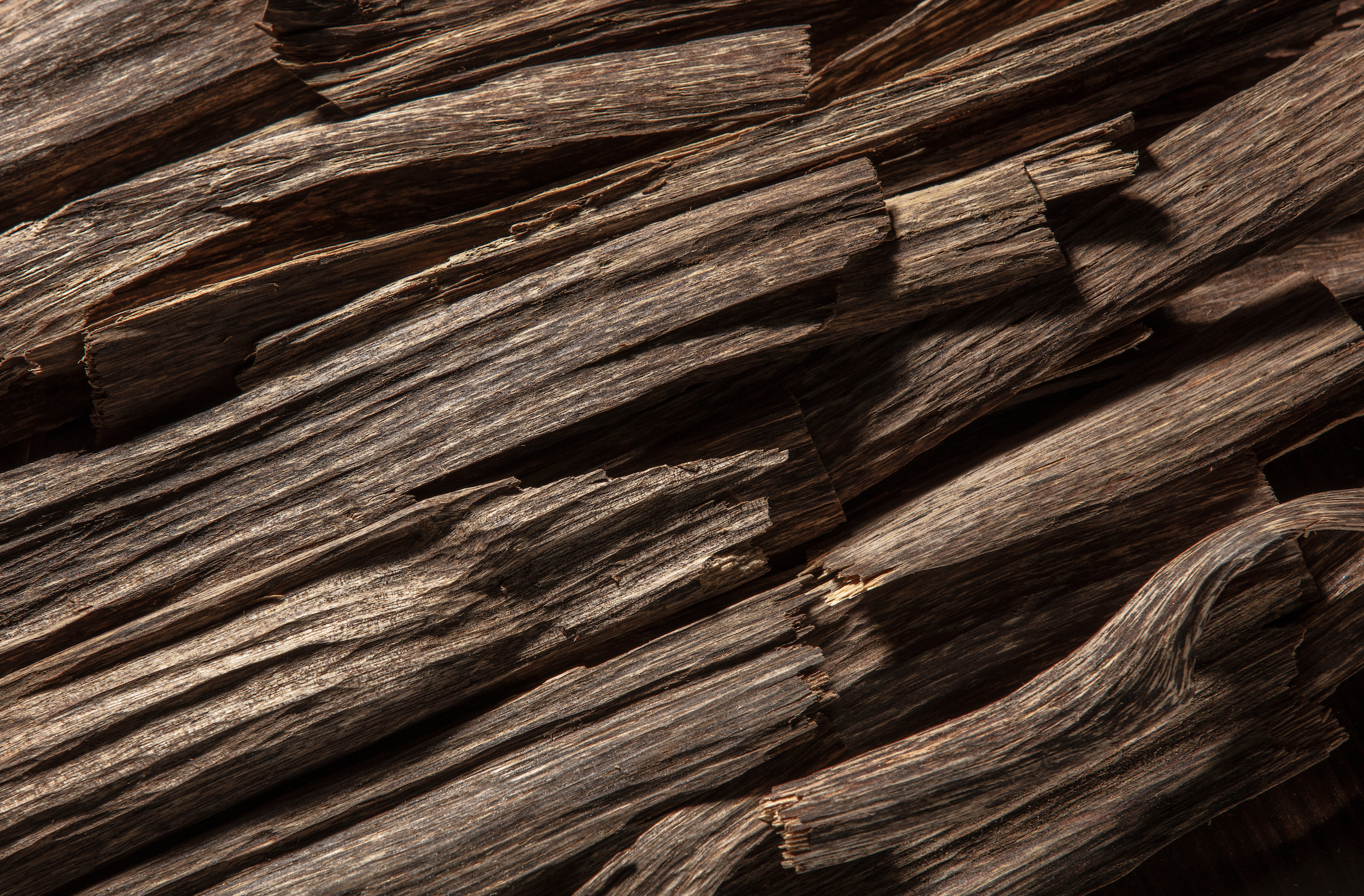 Francesca Bianchi Introduces Voluptuous Oud