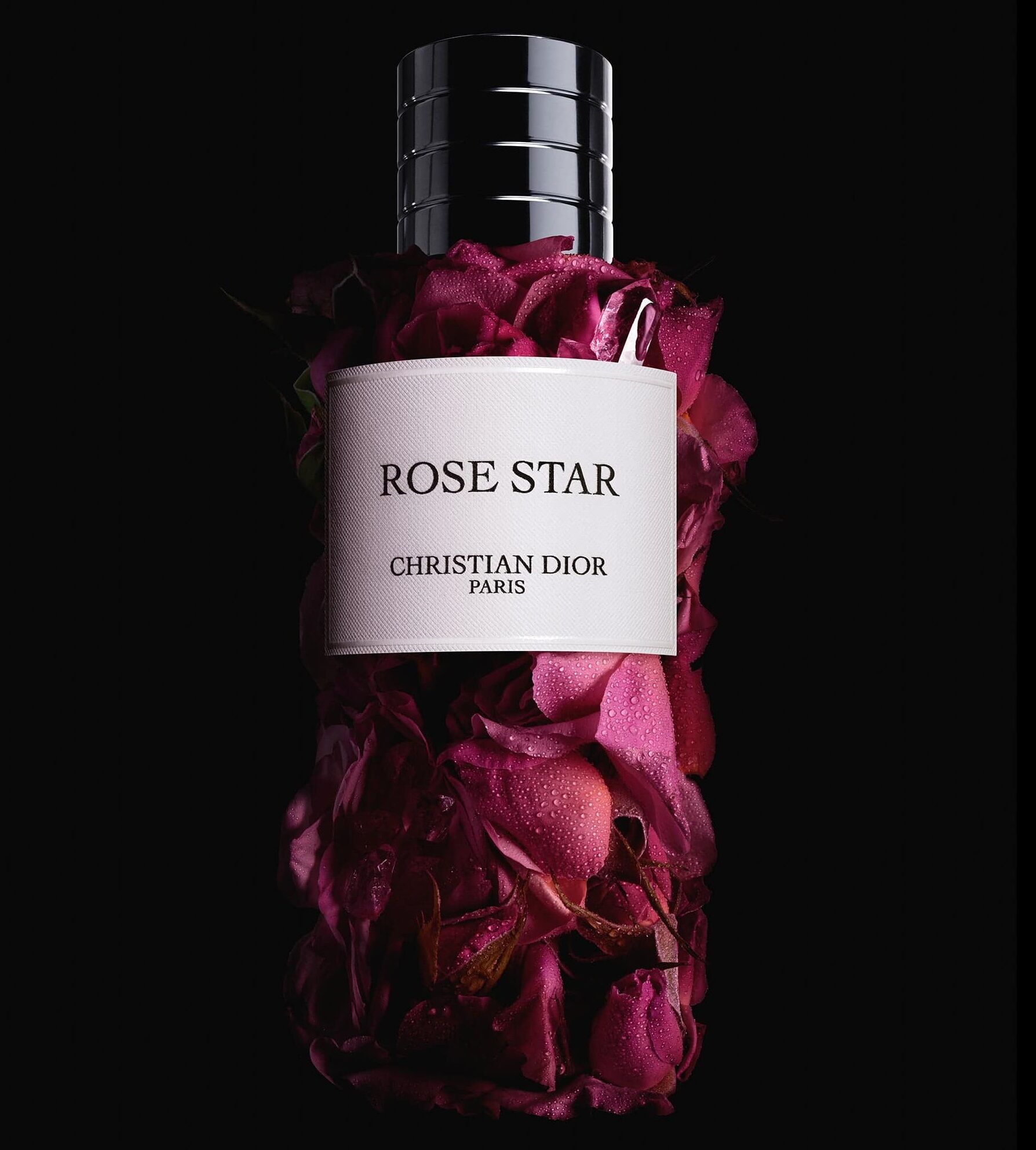dior rose star