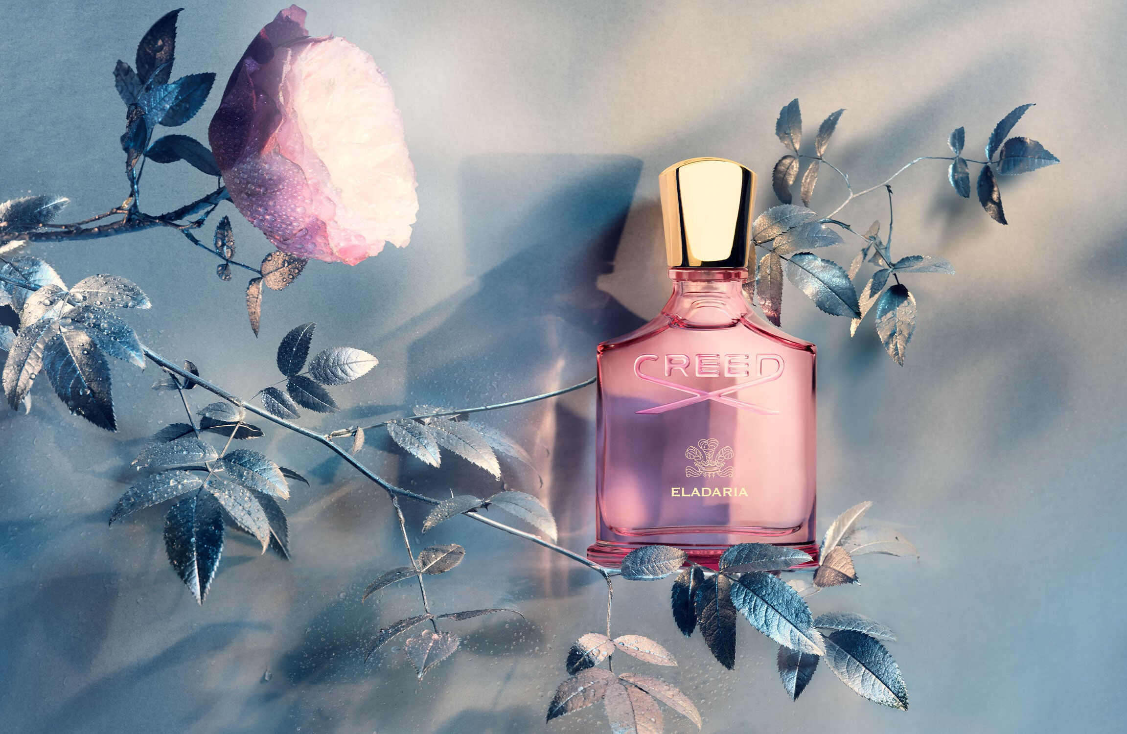 Eladaria by Creed: Refined and Radiant