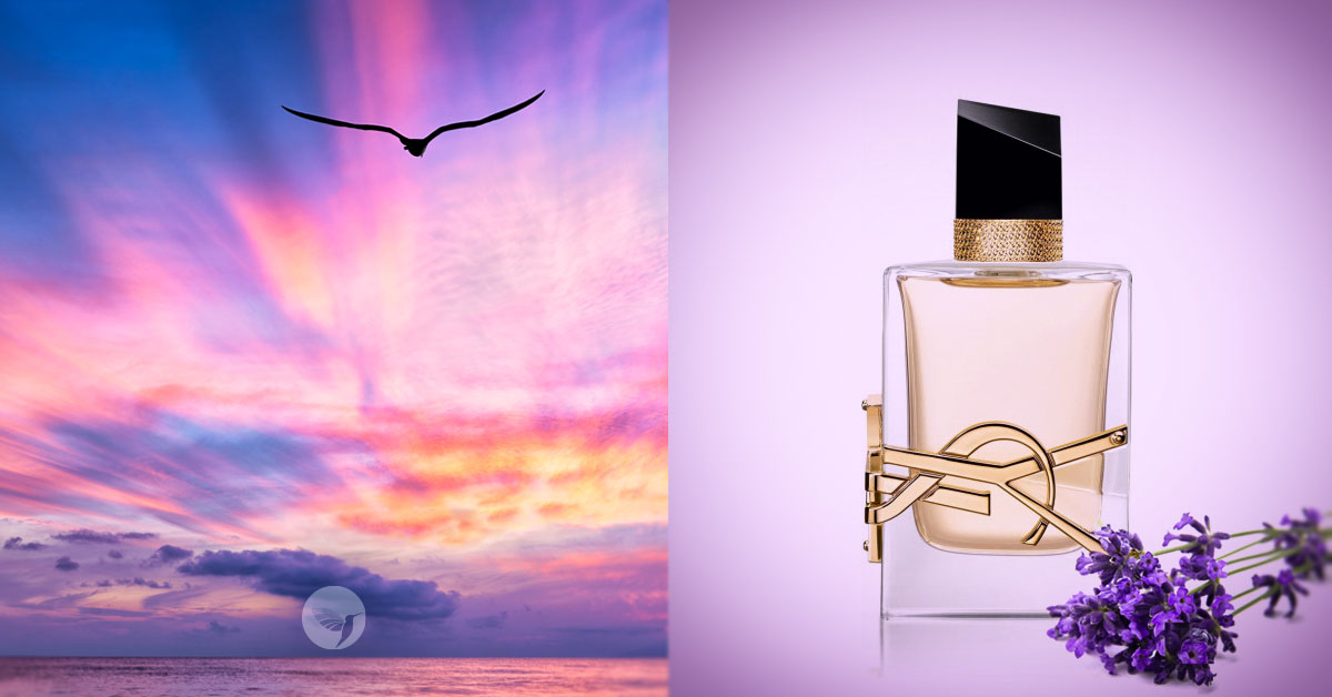 Libre Yves Saint Laurent for women