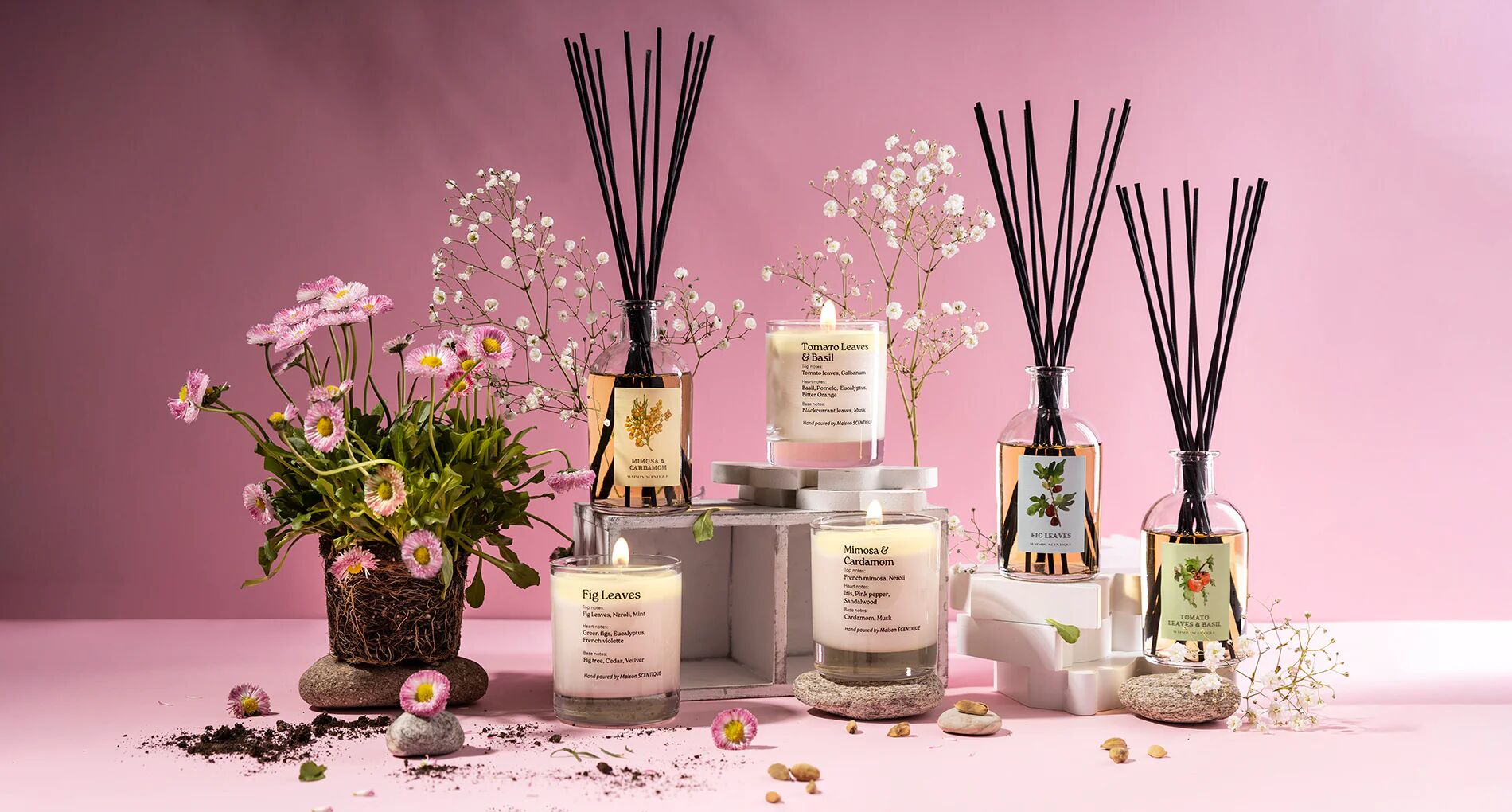 Maison Scentique Botanical Collection Home Scents