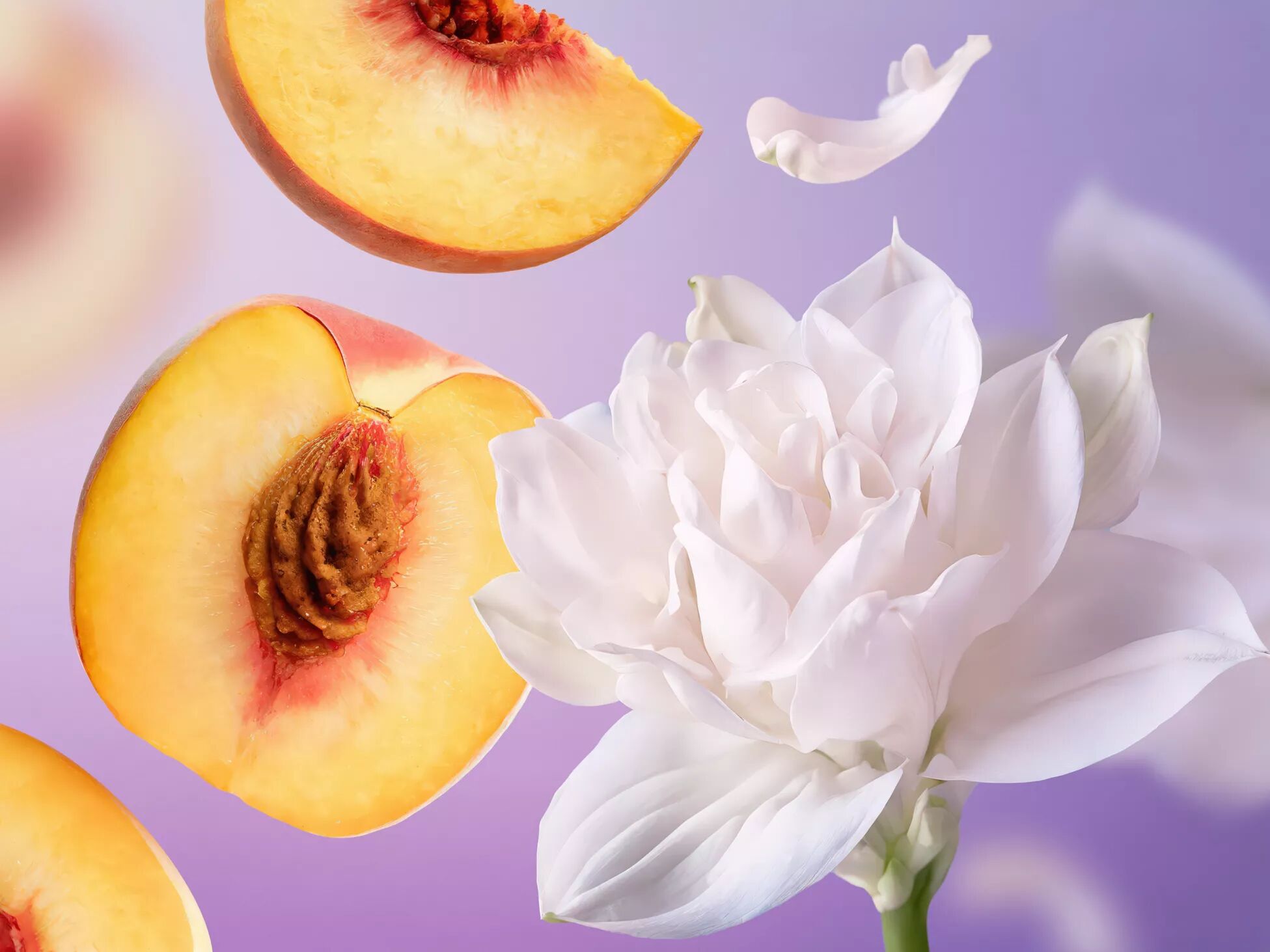 Cloudscape by Rituals notes