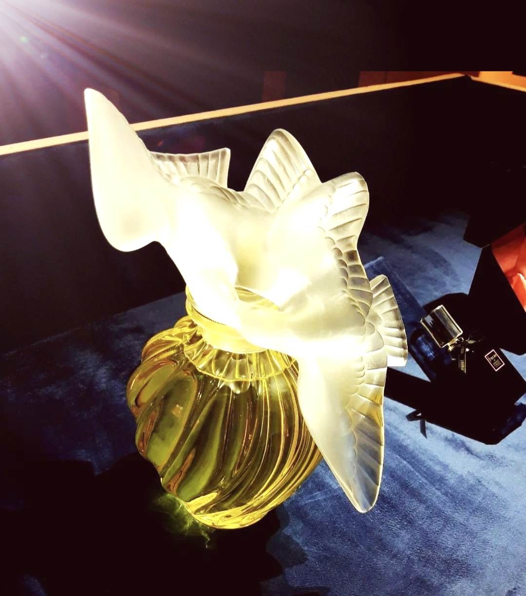 Givaudan: 85 Years of Haute Parfumerie ~ Art Books Events