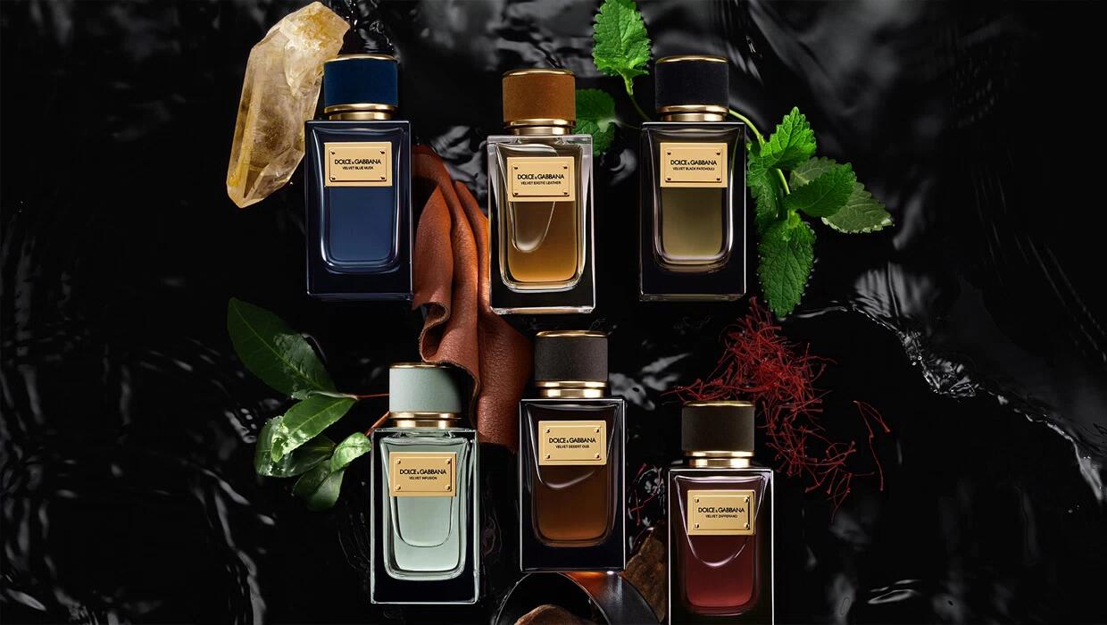 dolce&gabbana velvet collection