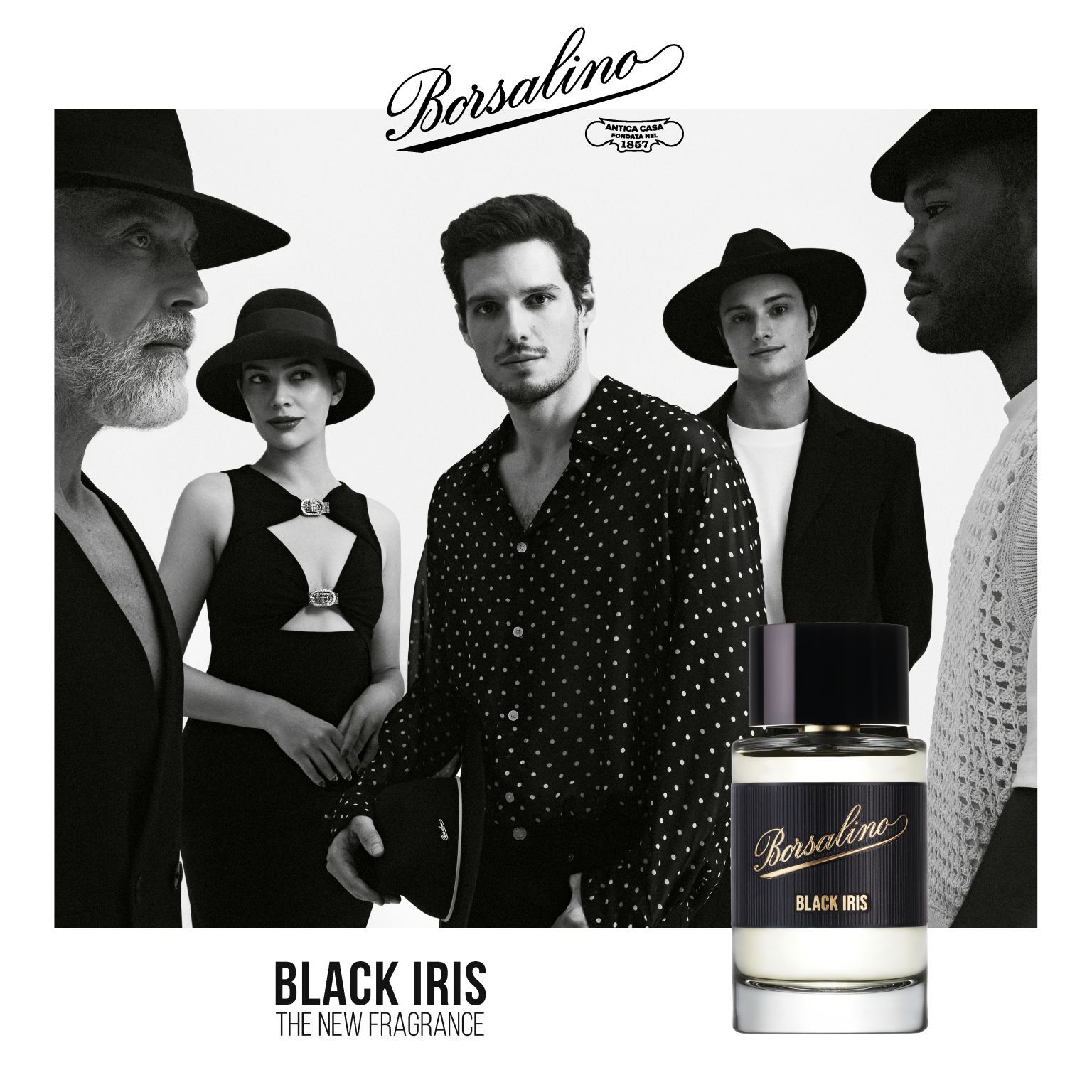 borsalino black iris