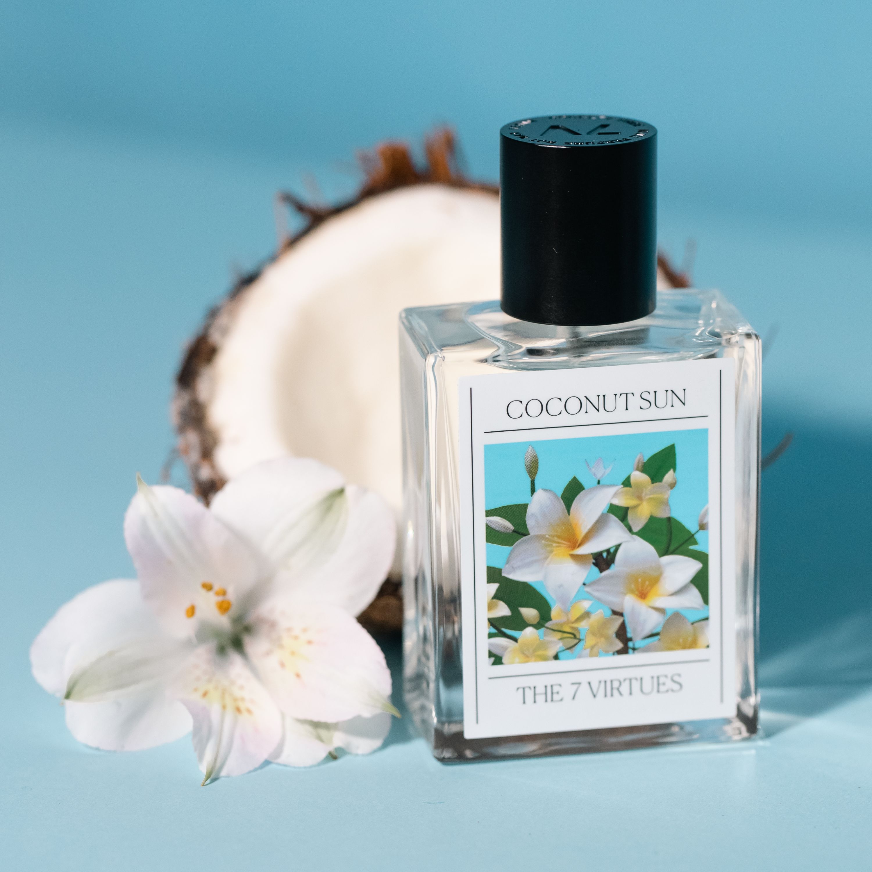 coconut sun the 7 virtues