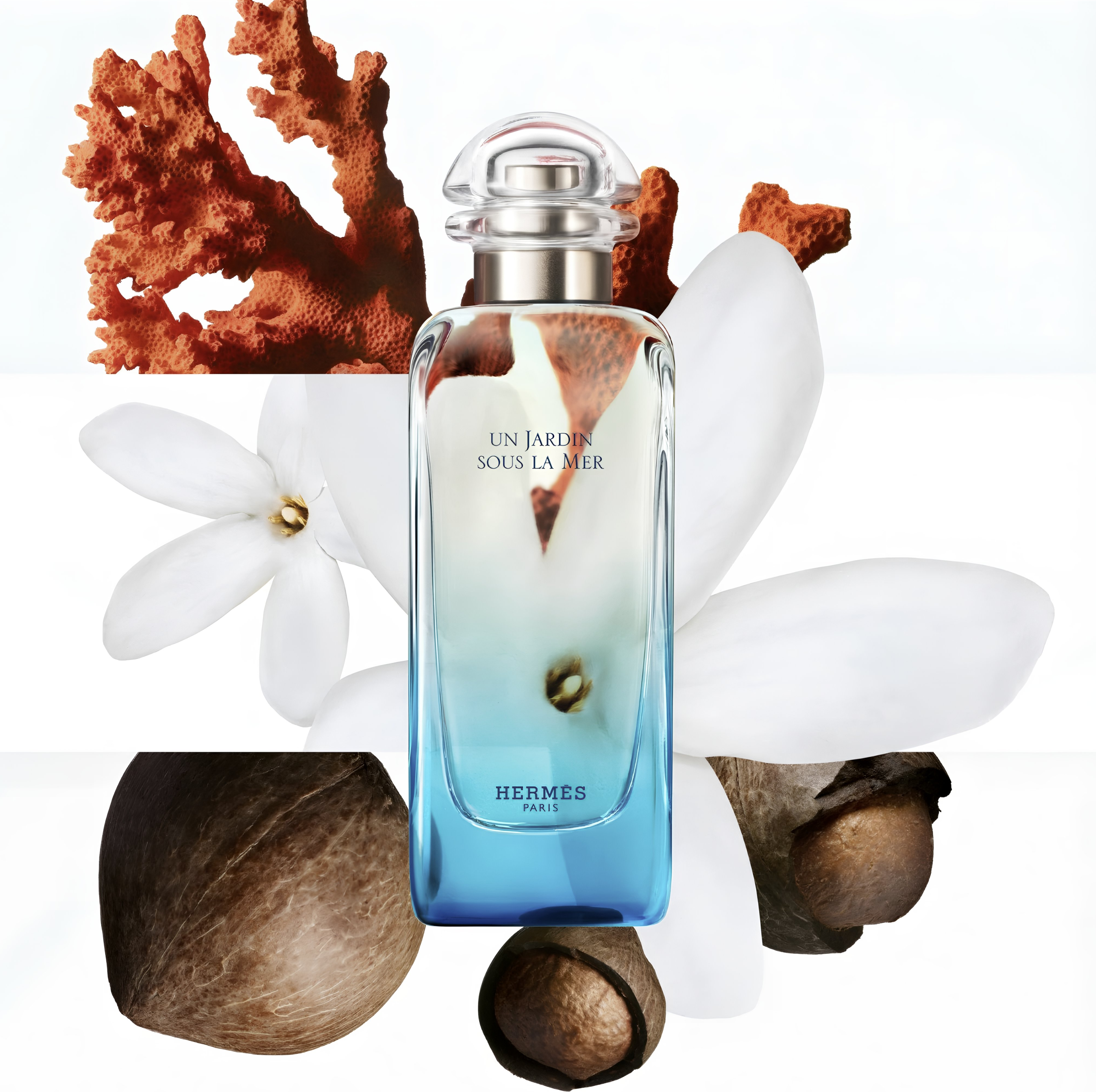 Un Jardin sous la Mer Hermès