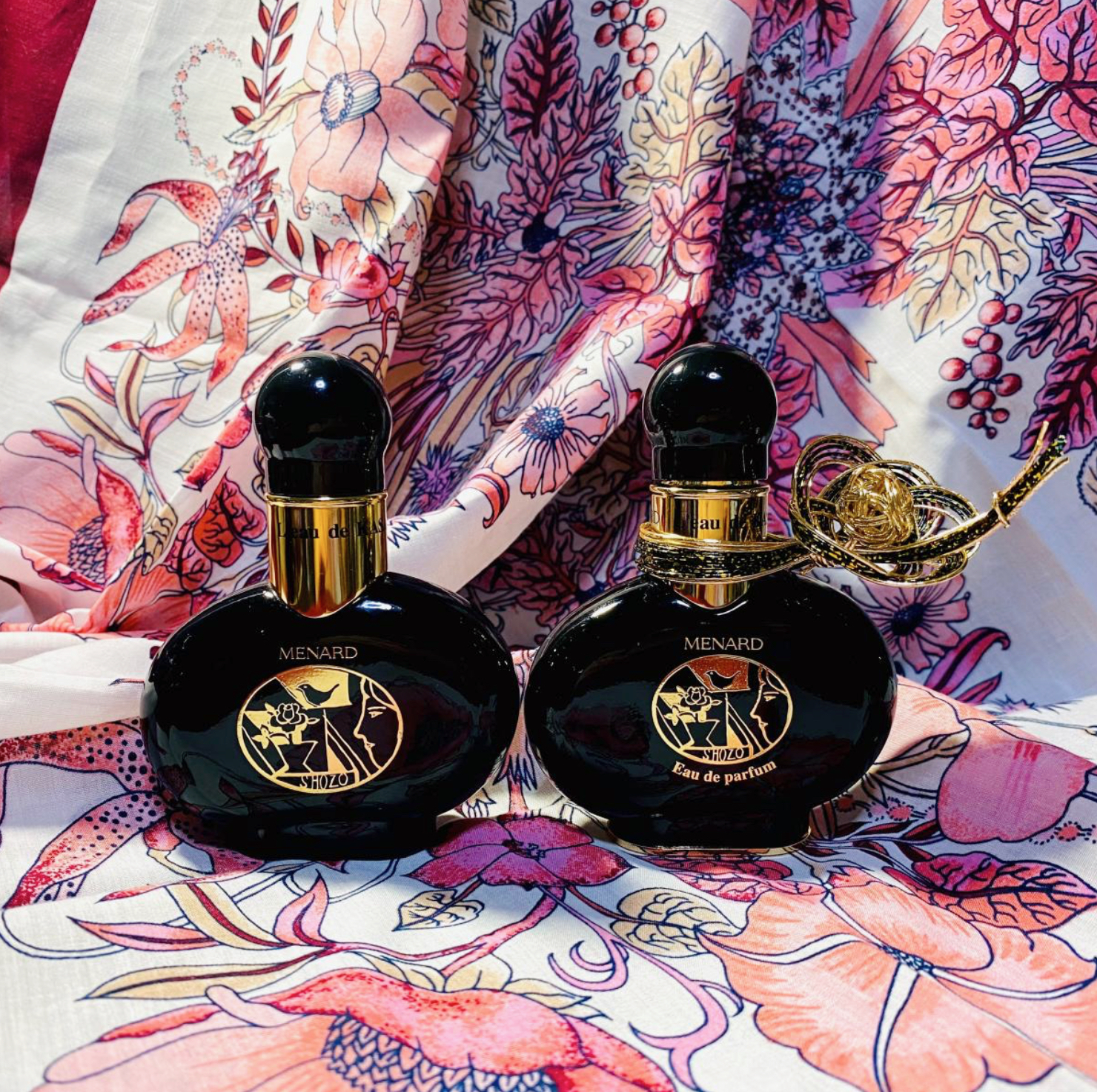 Selenion Pola: 月光のシプレ