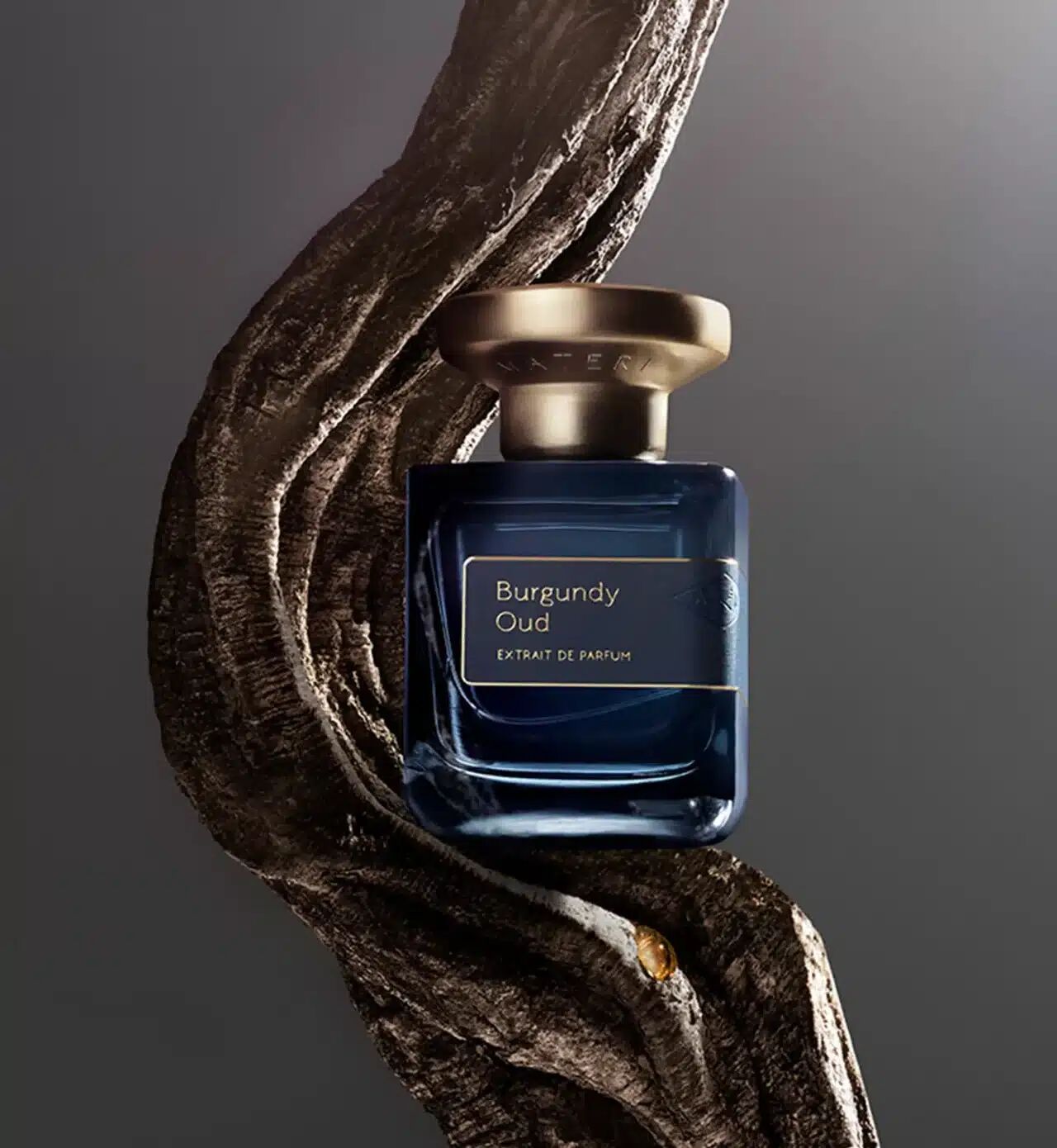 burgundi oud atelier materi