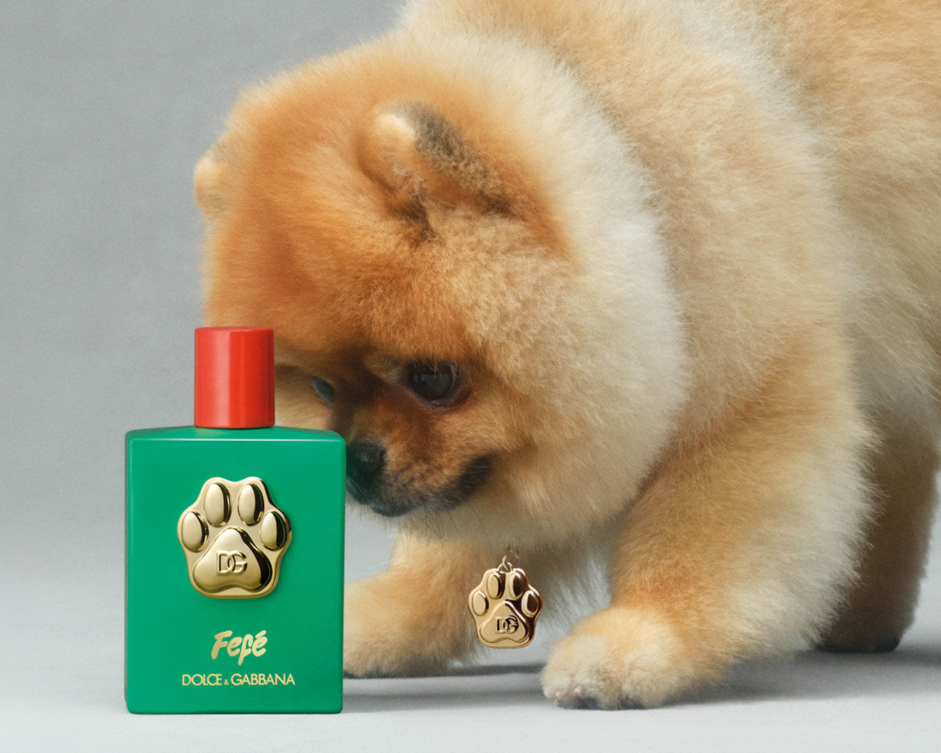 Fefé Dolce&Gabbana