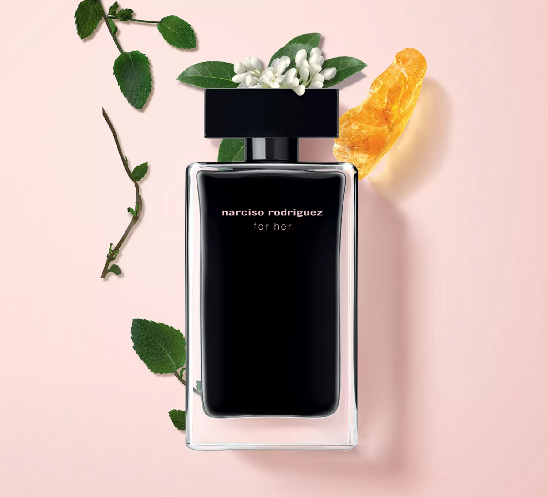 Narciso Rodriguez For Her vs Musc Noir Rose For Her ~ Fragrance Reviews