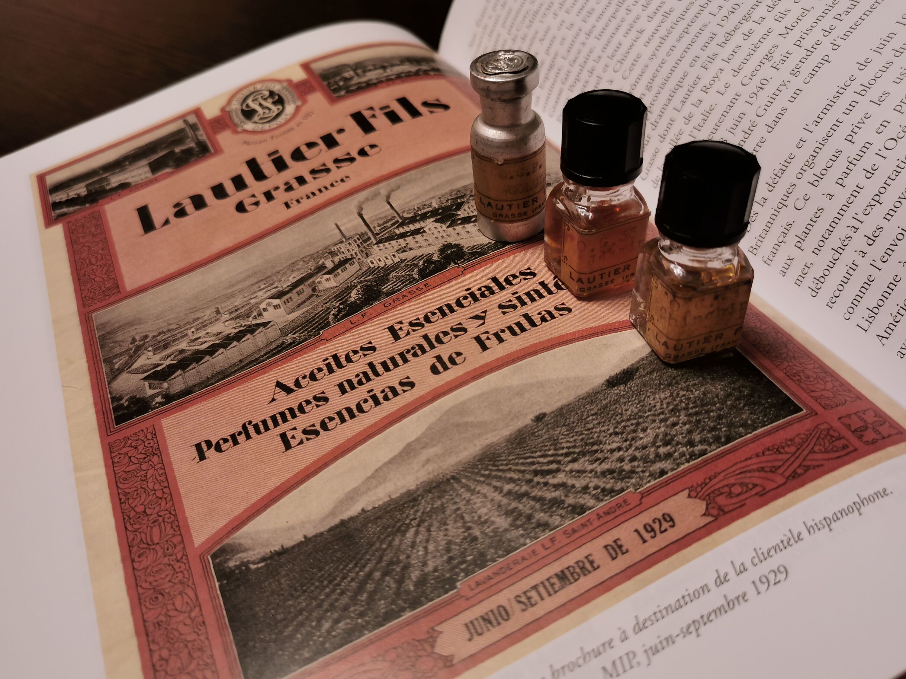 Сто лет в одиночестве