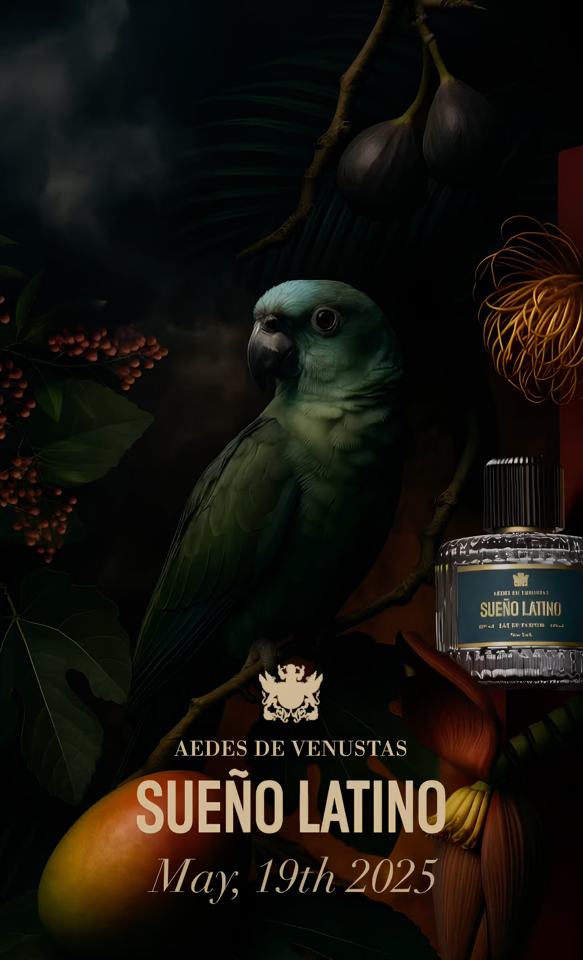 Sueño Latino od Aedes de Venustas: Tropy v metropoli