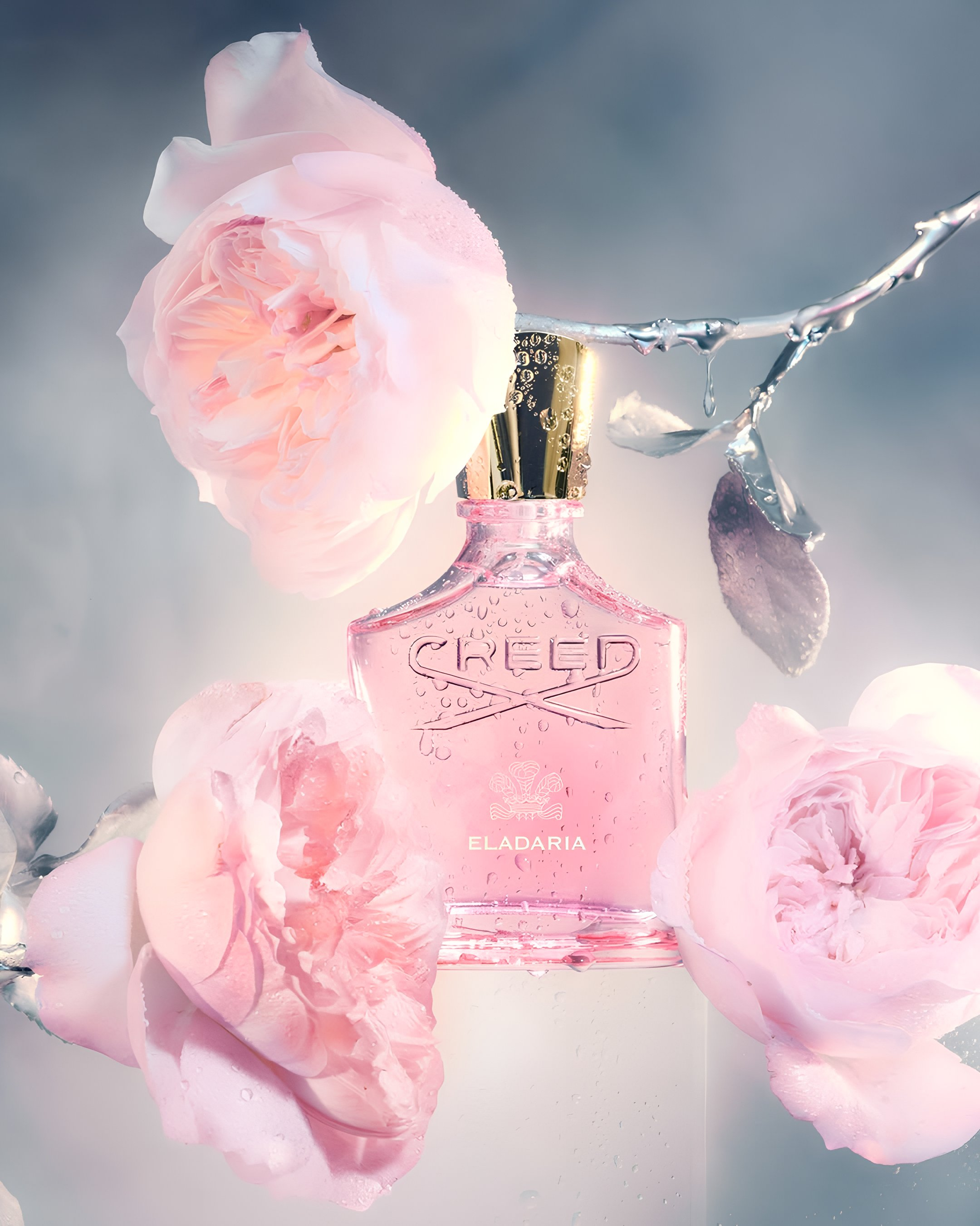 Eladaria by Creed: Refined and Radiant