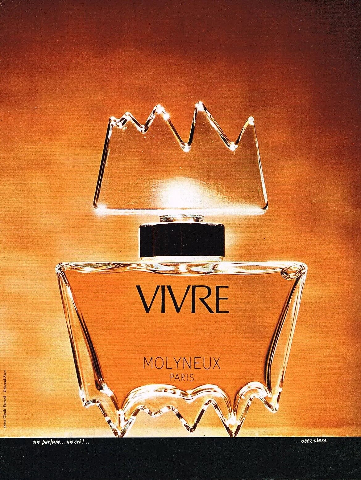 vivre molyneux