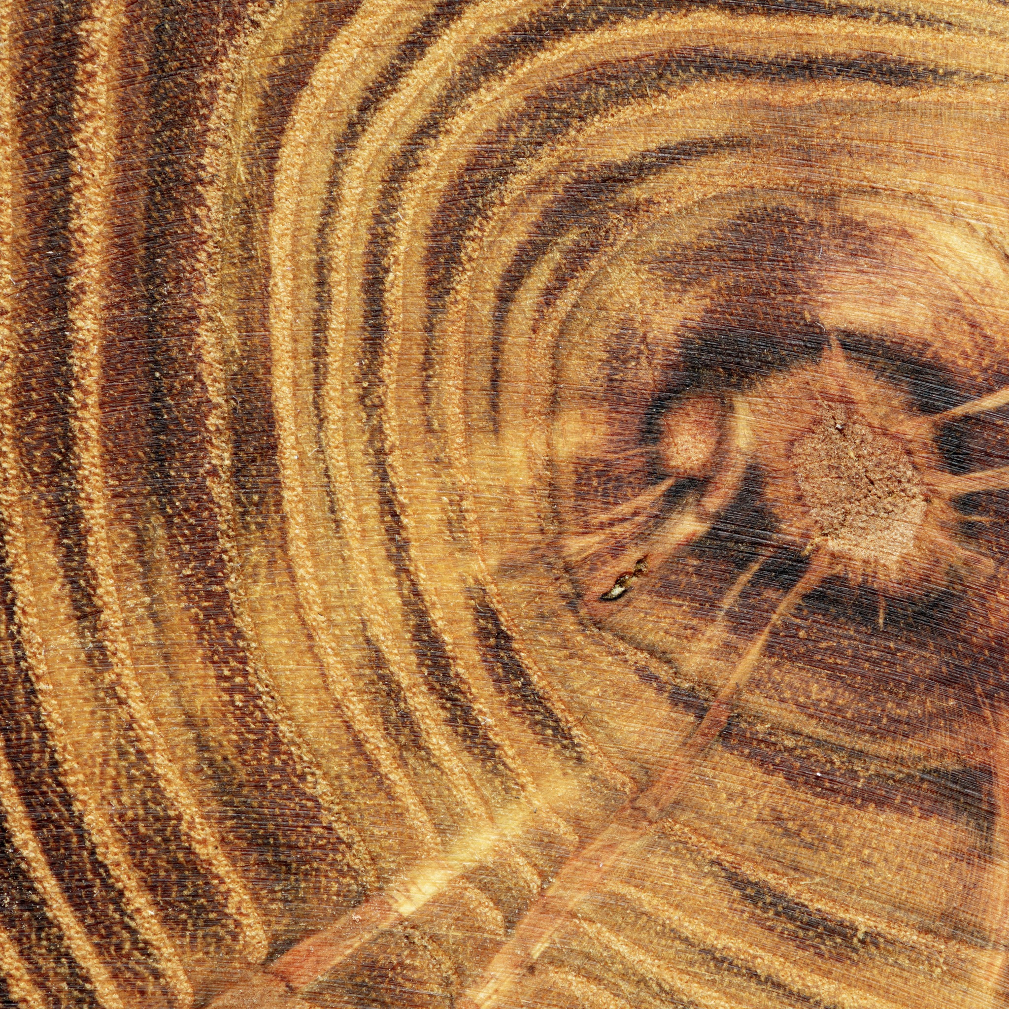 Neroli Nasimba wood image