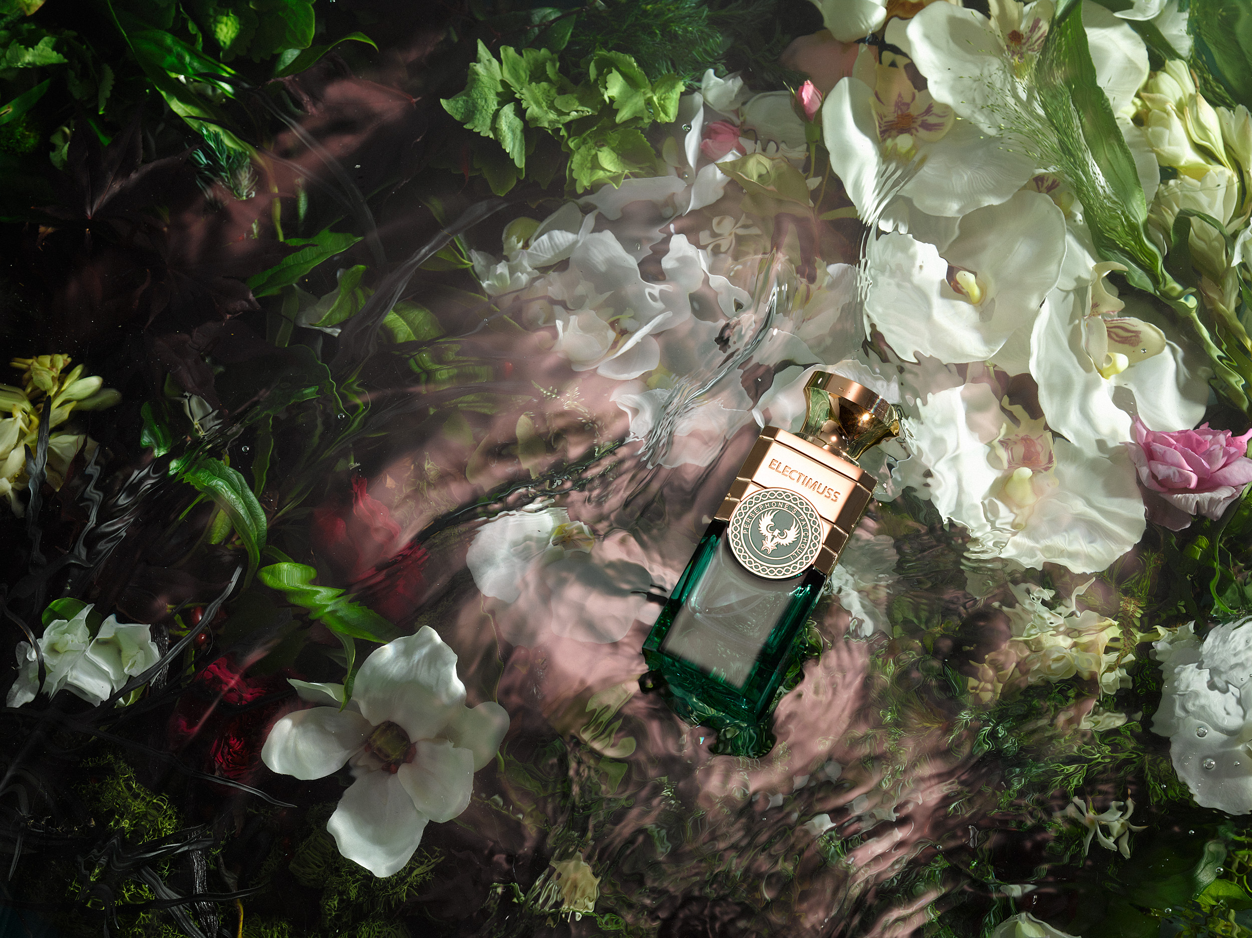 Electimuss Launch a New Collection ~ New Fragrances