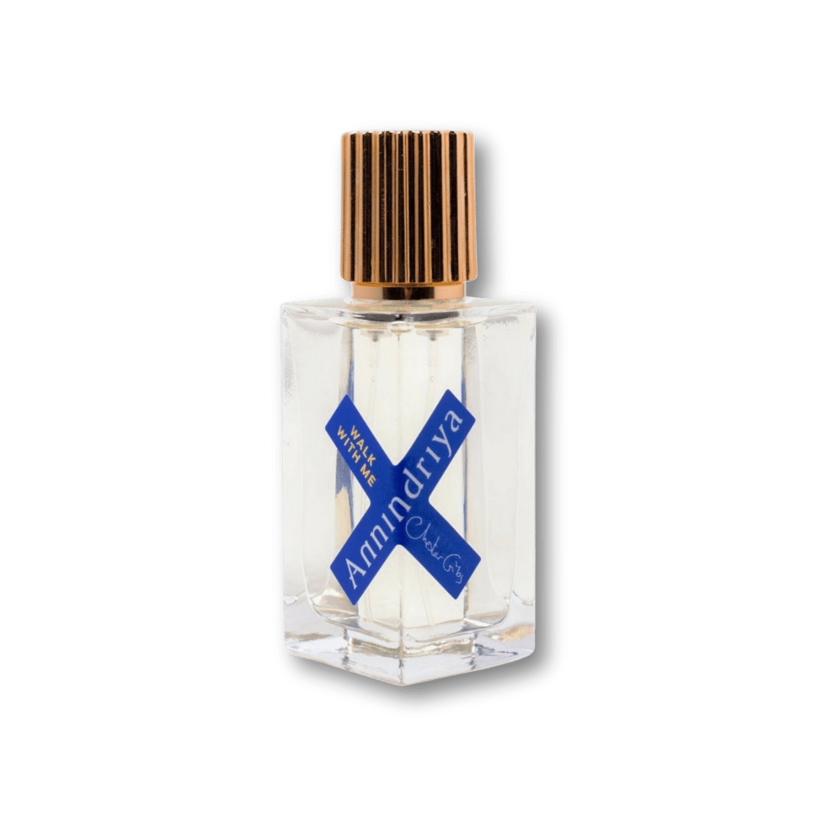 walk with me annindriya